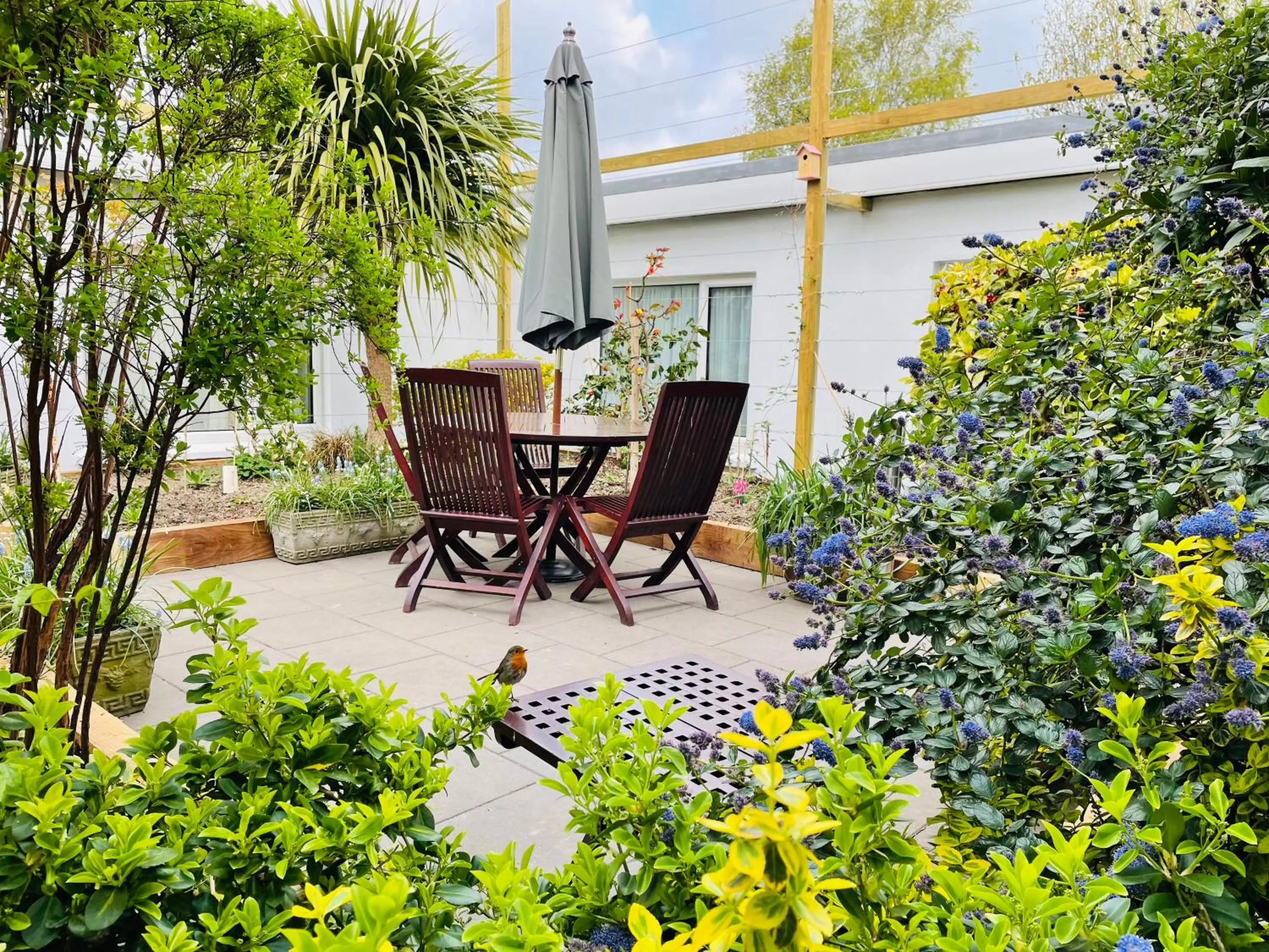 Garden in Egans House