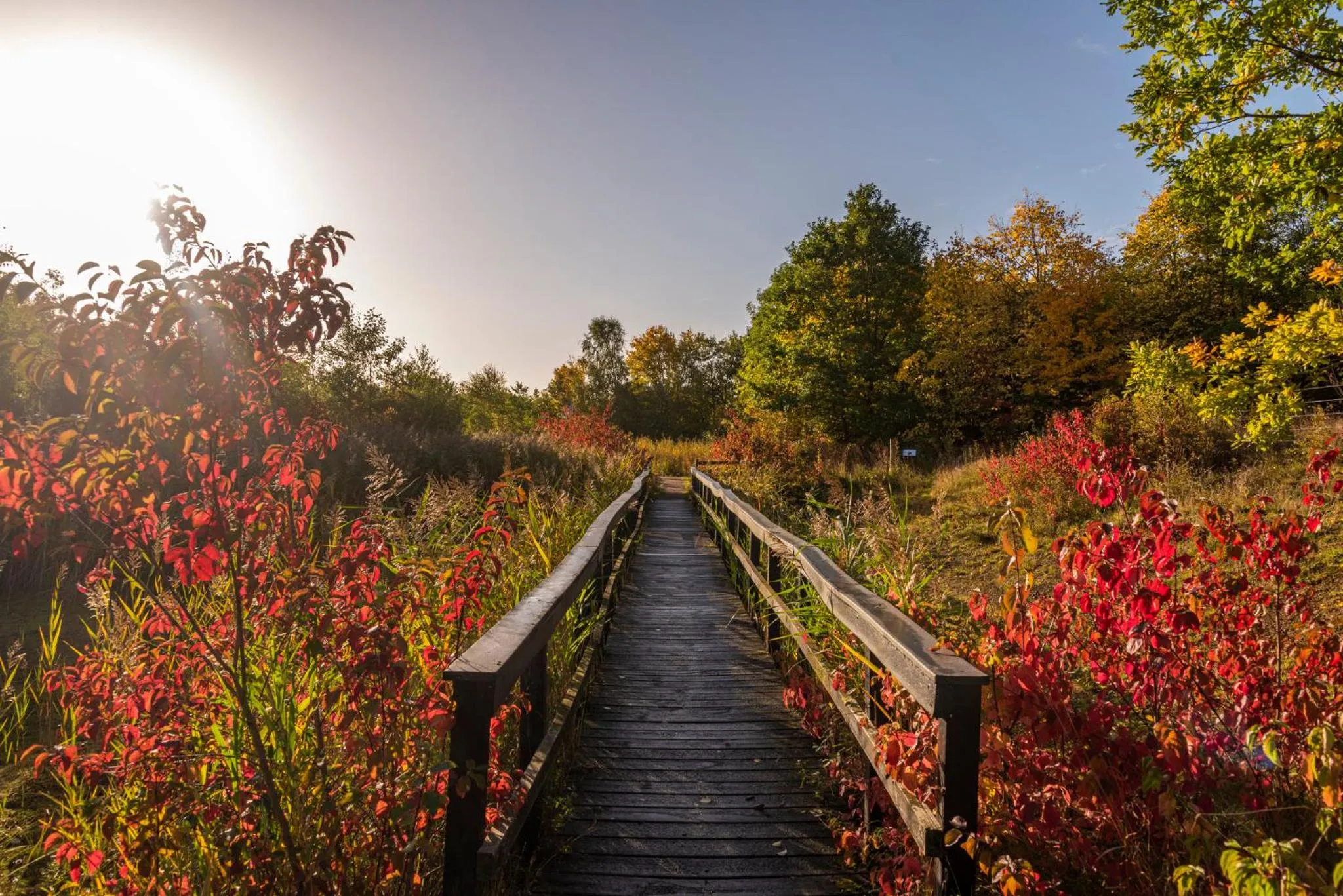 Nearby landmark in Holiday Inn Express Rotherham - North by IHG