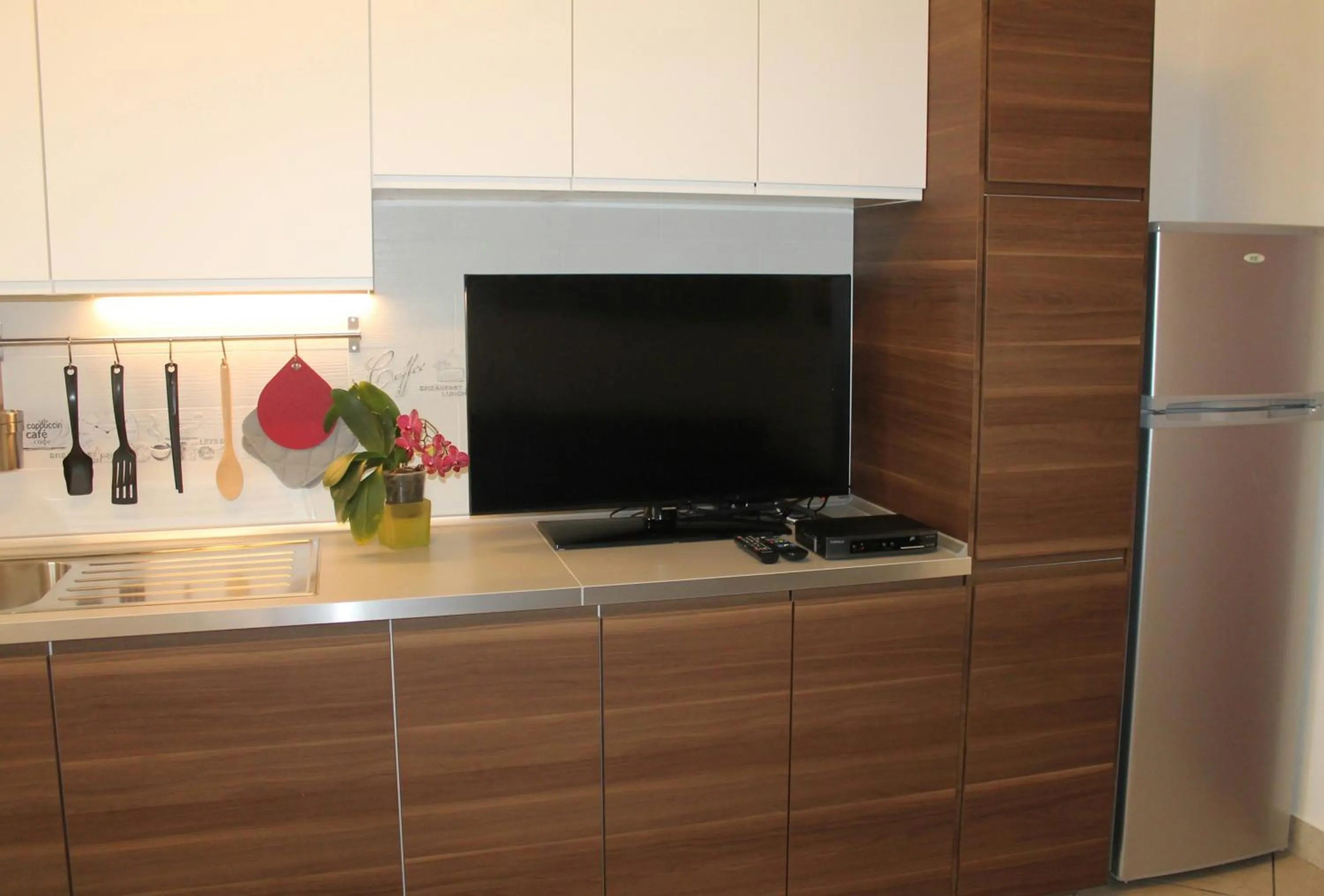TV and multimedia in La Casetta