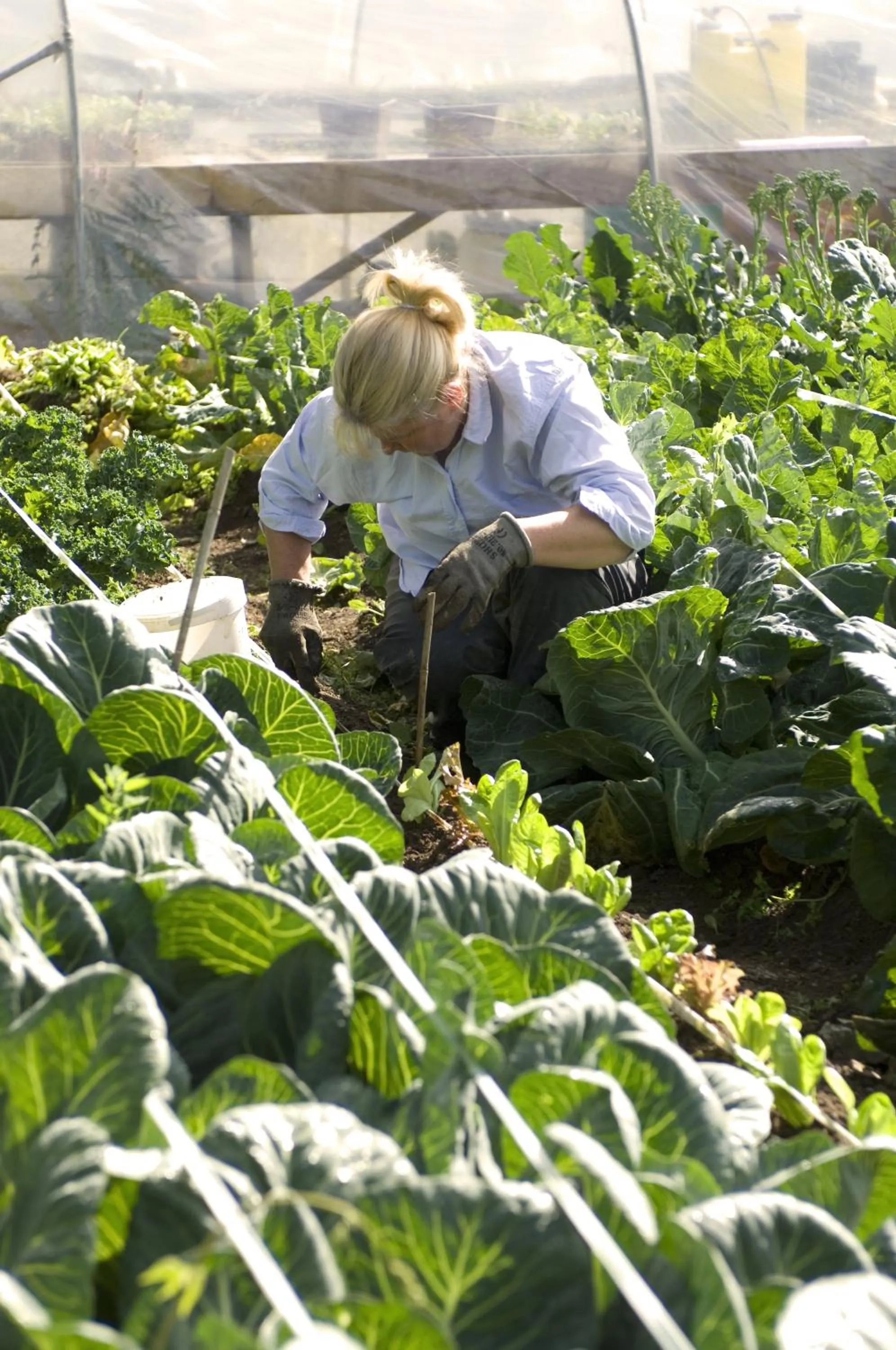 Garden in Dunbrody Country House Hotel