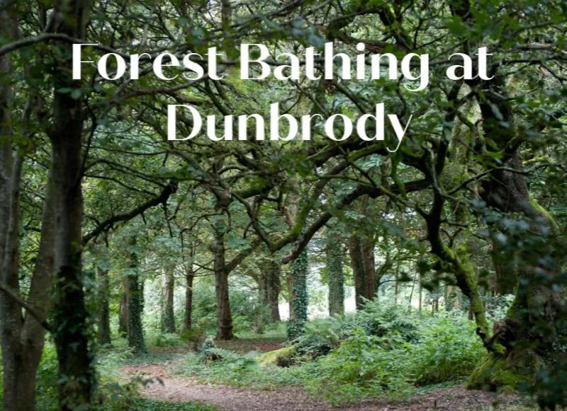 Other in Dunbrody Country House Hotel