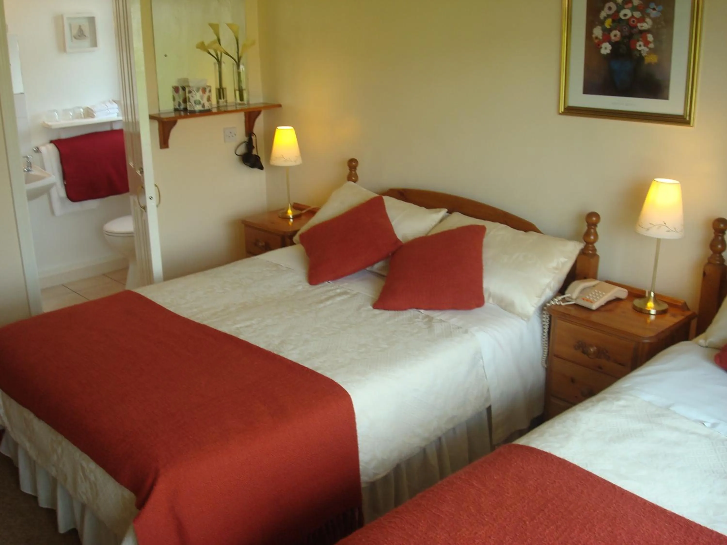 Bed in Athlumney Manor Guest Accommodation