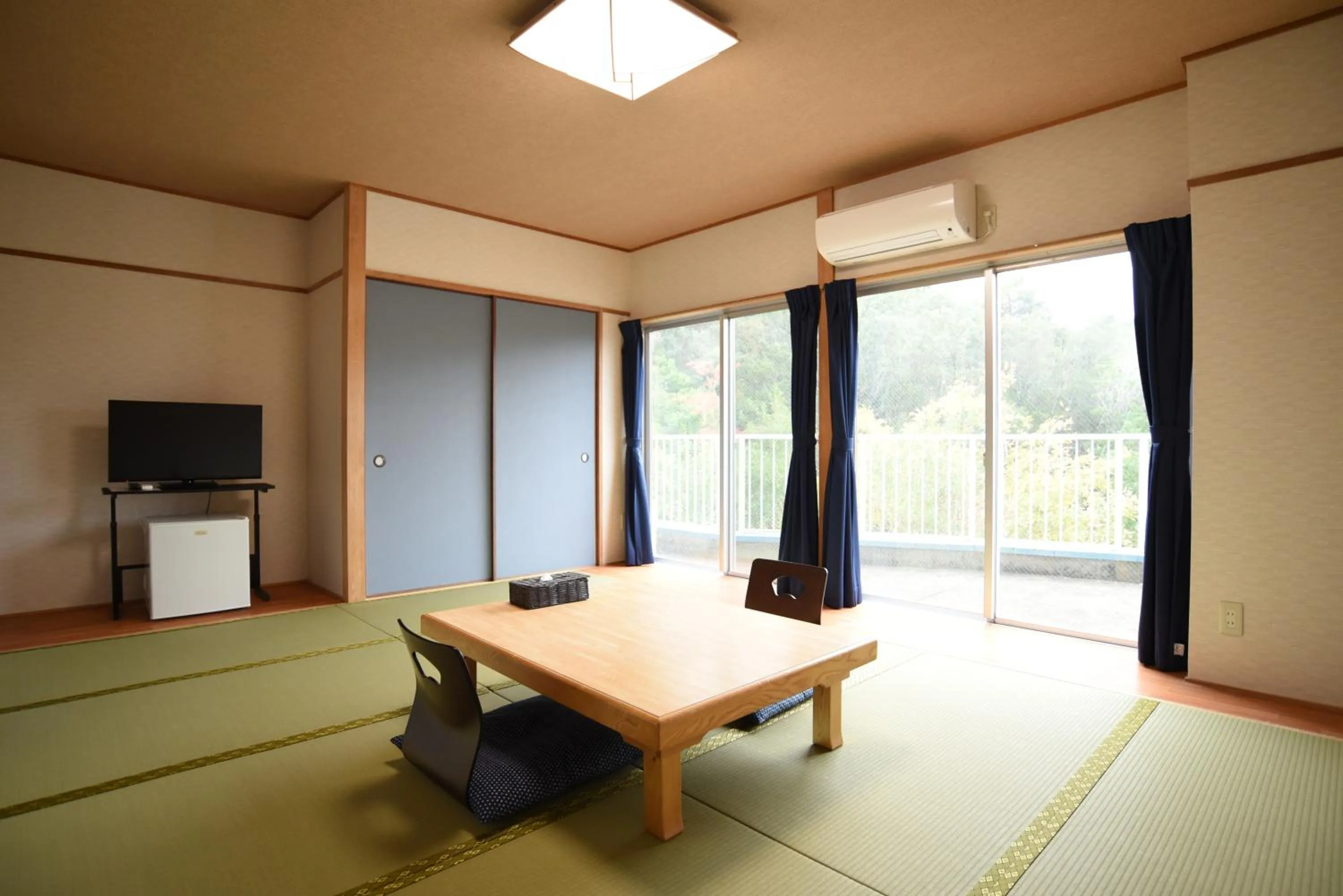 TV and multimedia in Alaise De Bale Shirahama