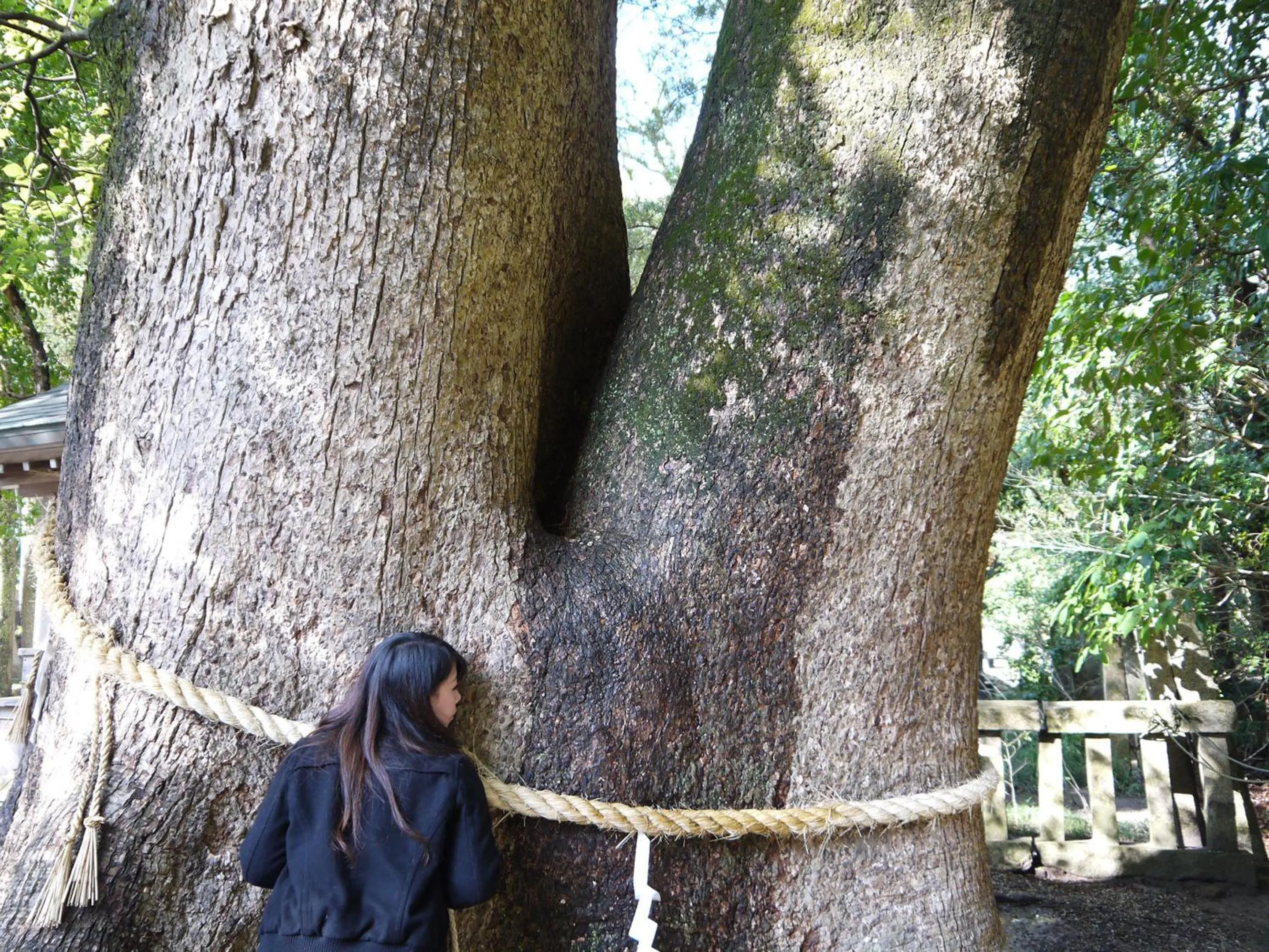 Nearby landmark, Guests in Spring Golf and Art Resort Awaji