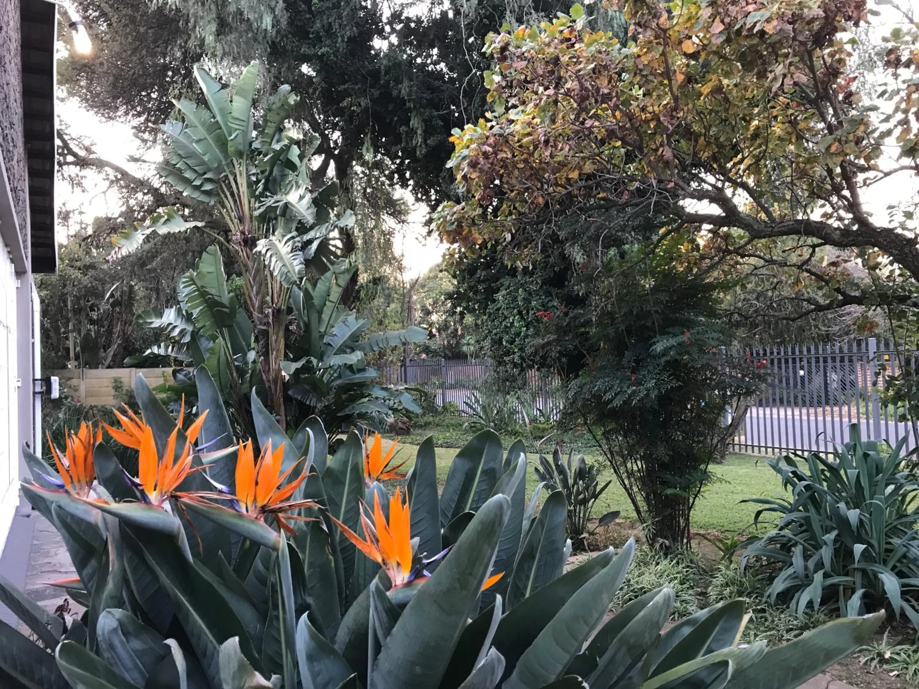 Garden in Aerotropolis Guest Lodge