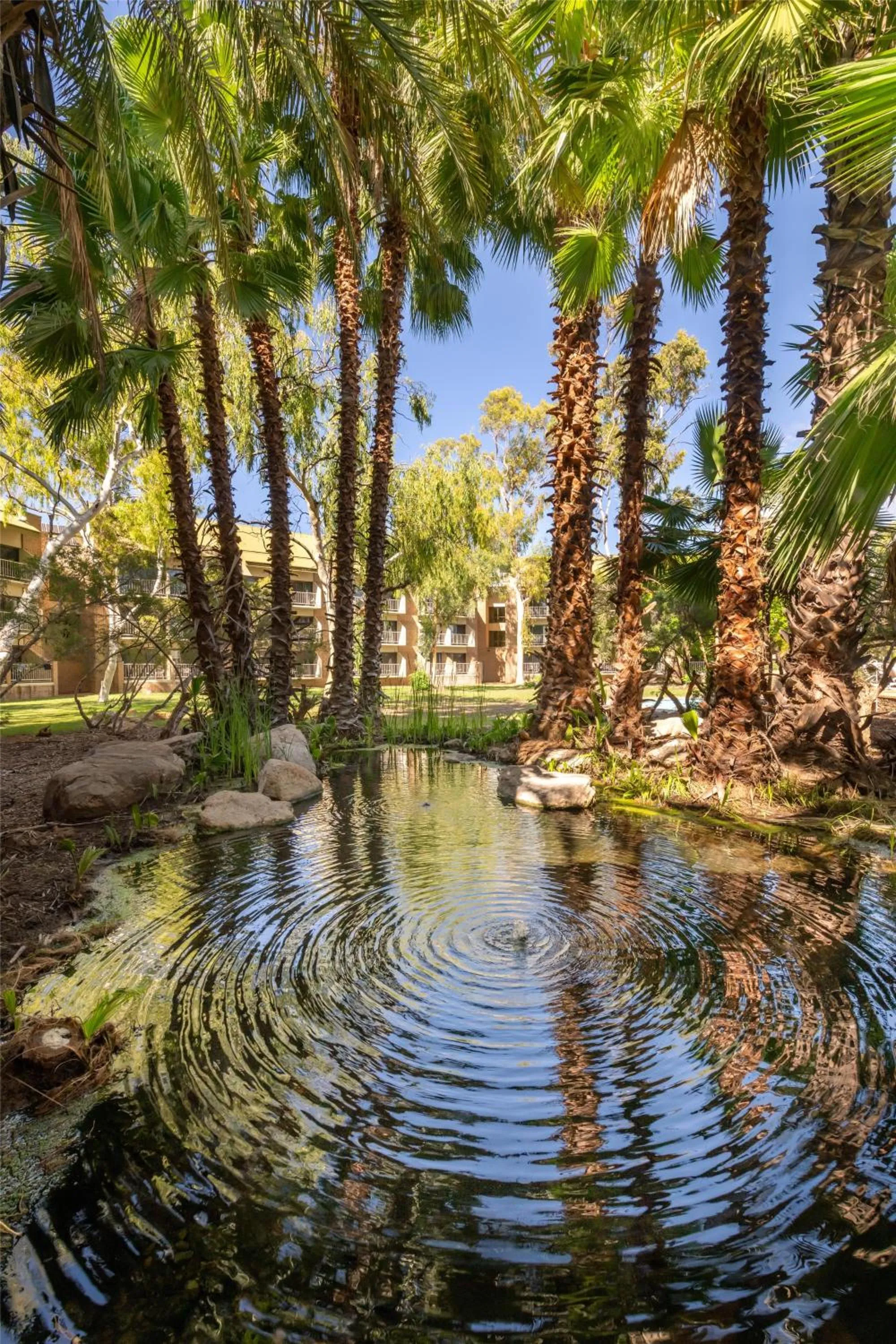 Garden in DoubleTree by Hilton Alice Springs