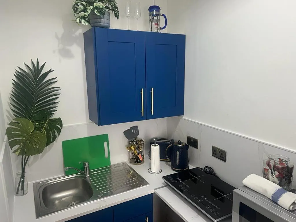 Kitchen or kitchenette in James' Place at Dowlais