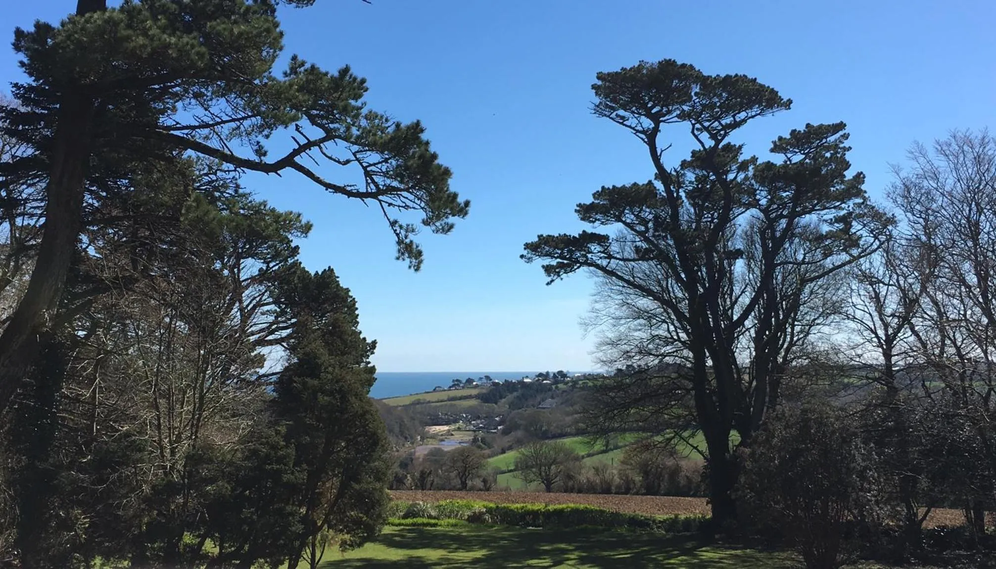 Natural landscape in Penmorvah Manor Hotel