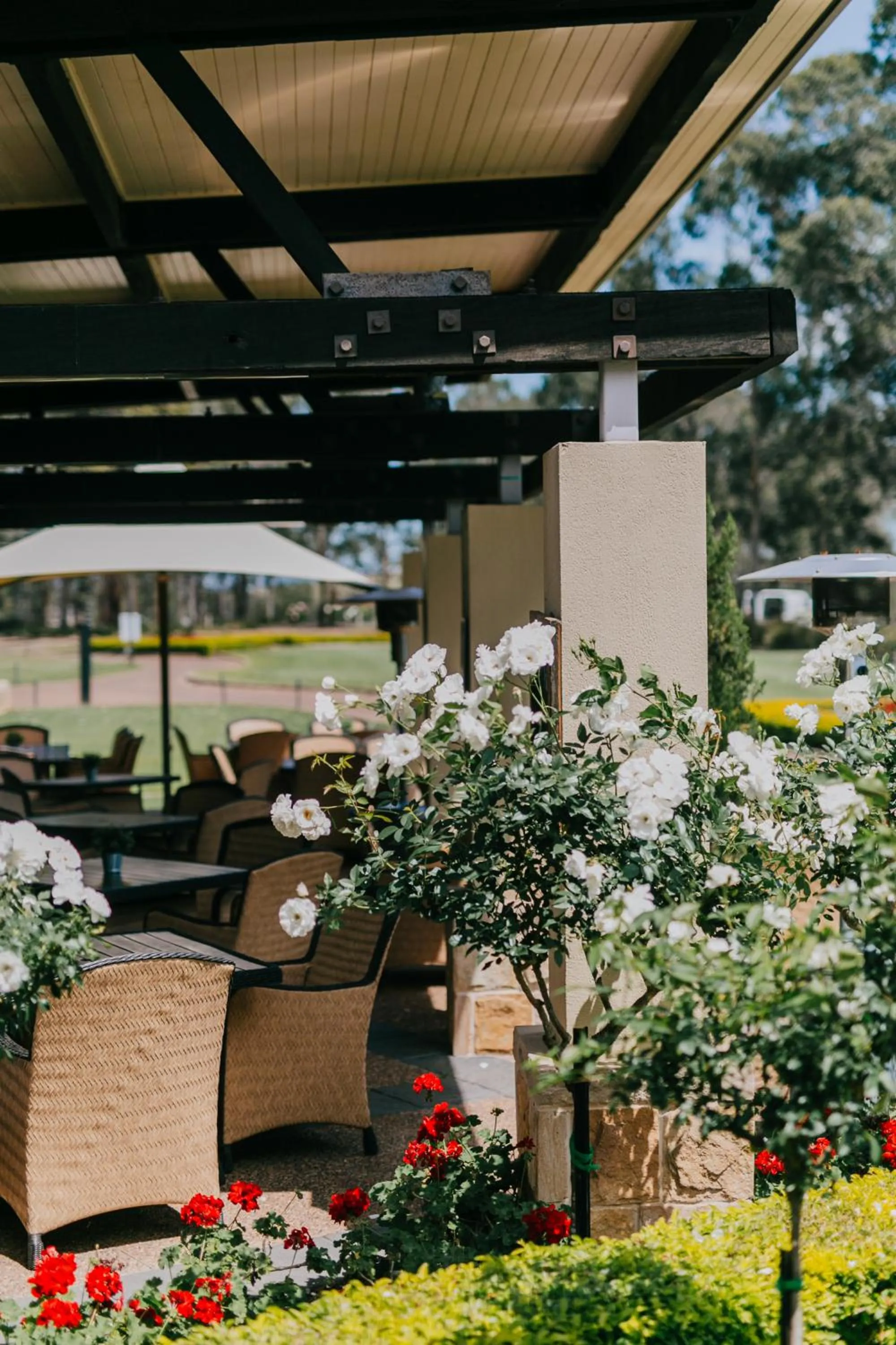 Restaurant/places to eat in Chateau Elan At The Vintage