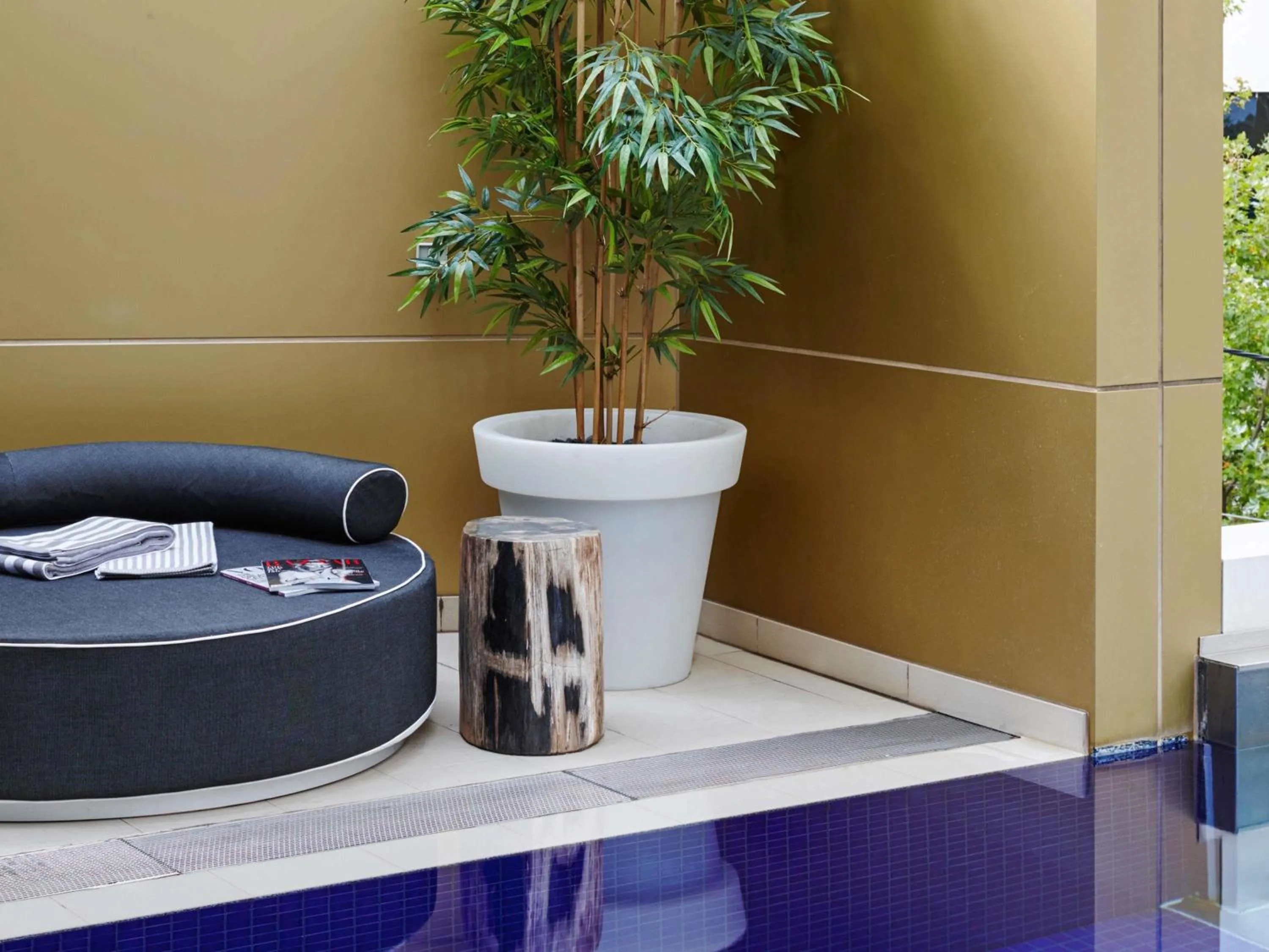 Pool view in The Olsen Melbourne Art Series