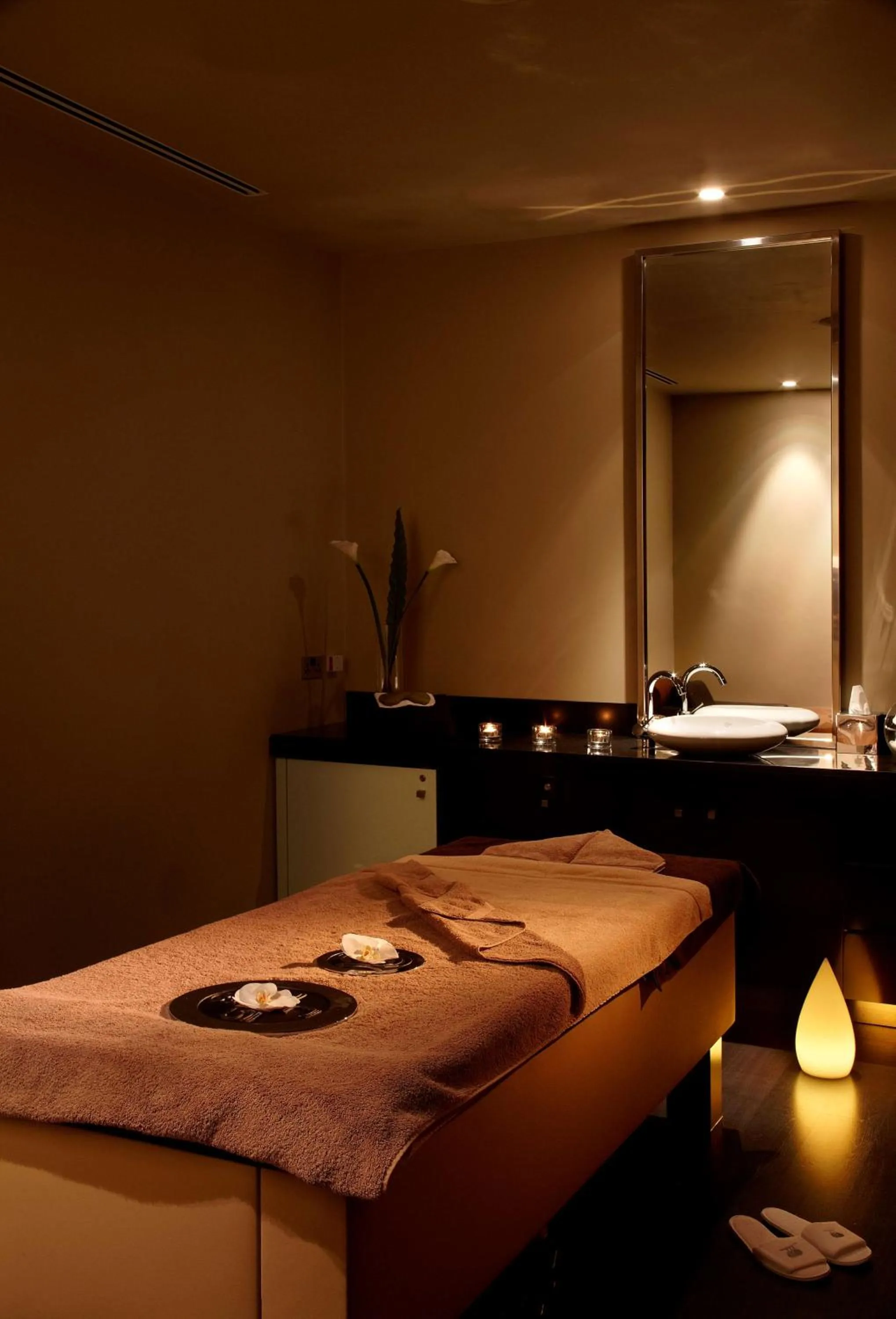 Spa and wellness centre/facilities in Park Plaza London Westminster Bridge