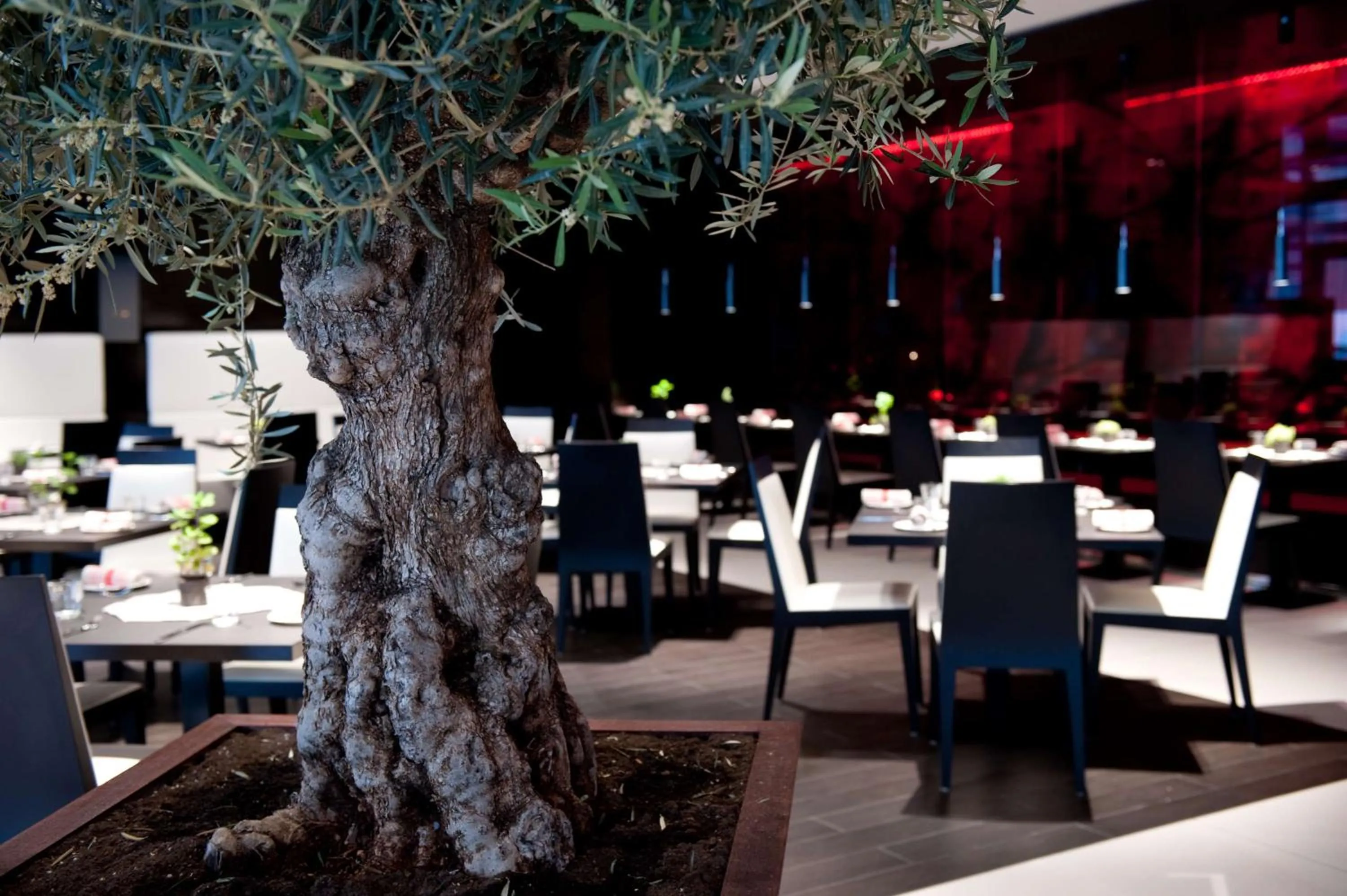 Restaurant/places to eat in Park Plaza London Westminster Bridge