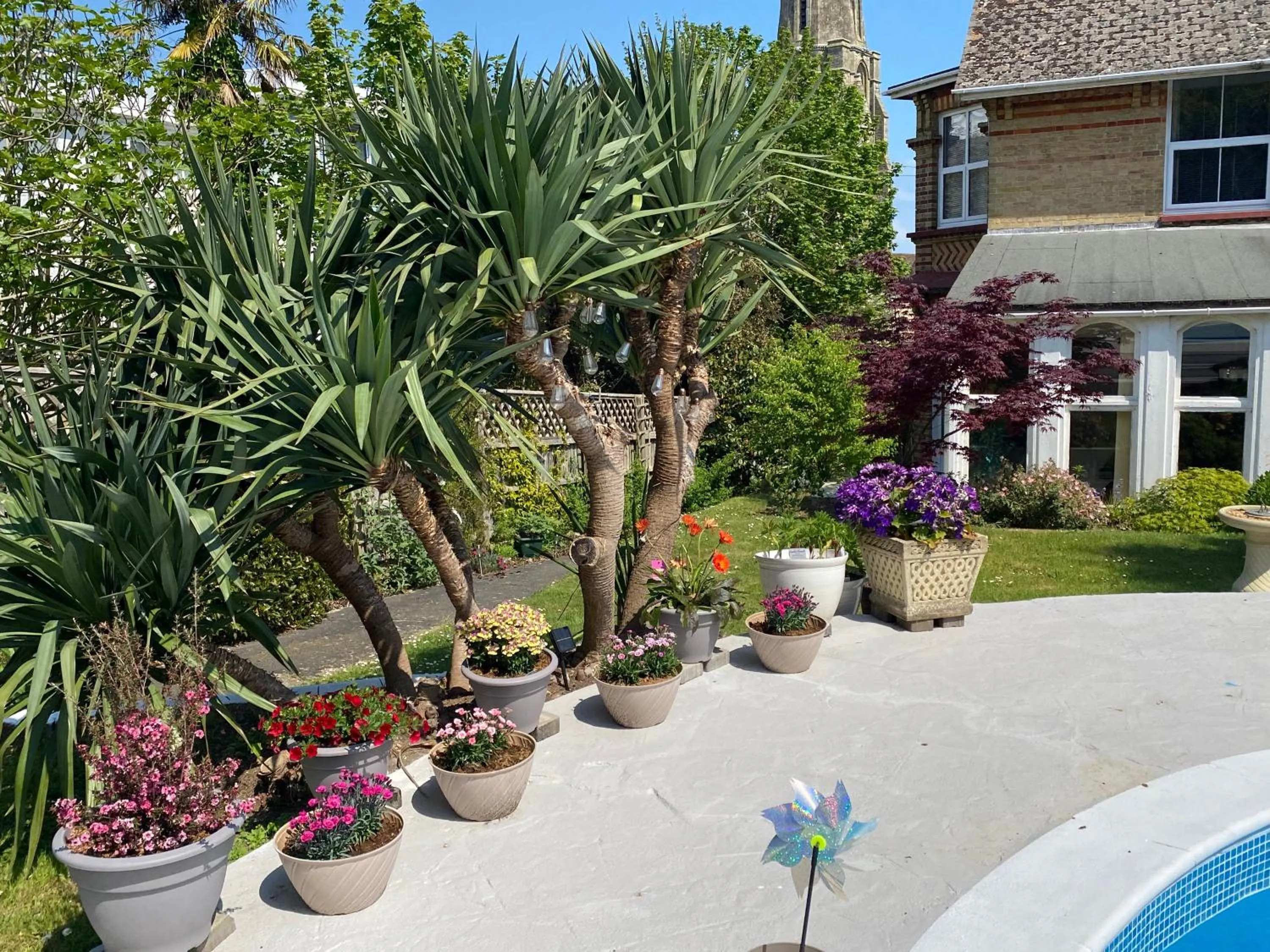 Swimming pool in The Belmont