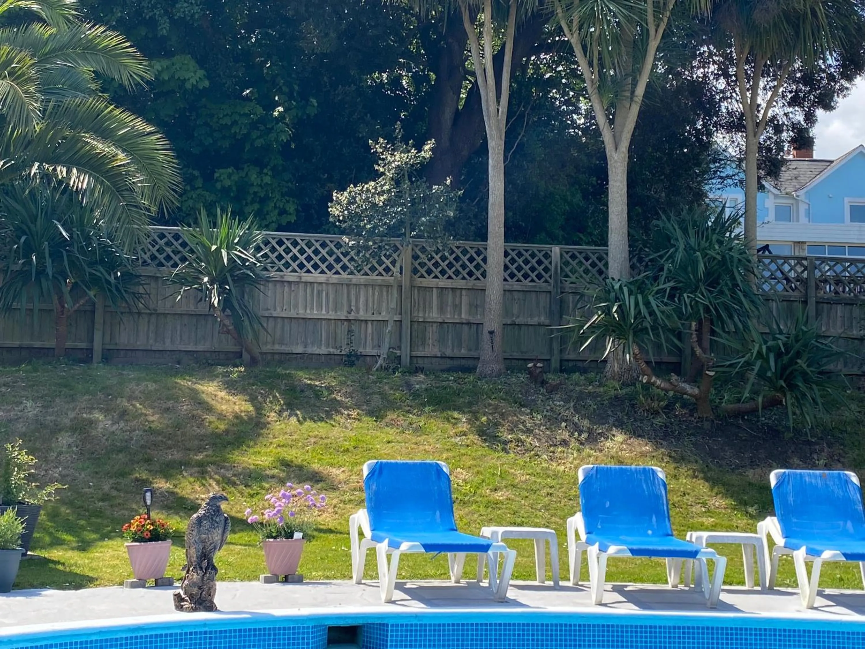 Garden in The Belmont