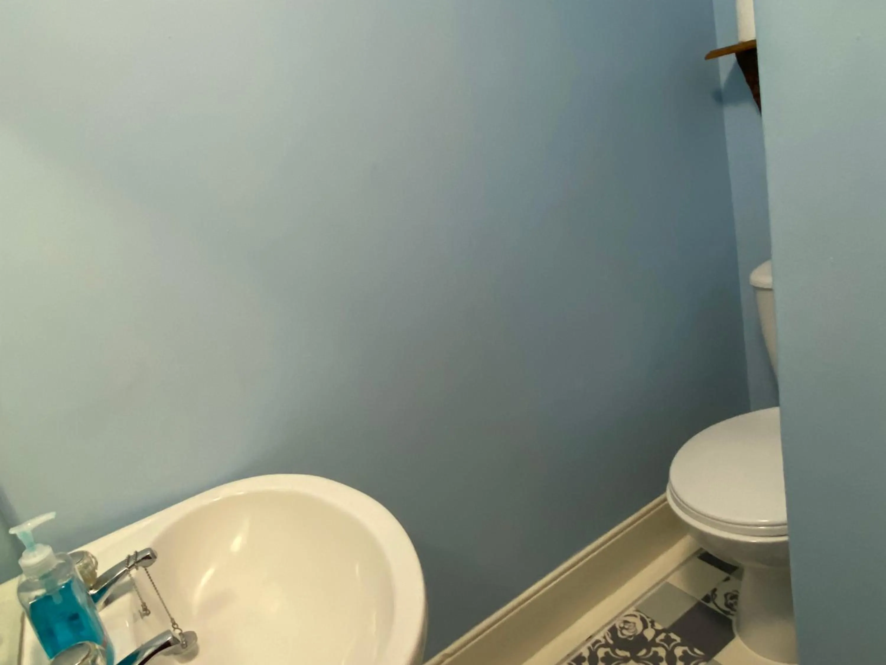 Toilet in The Belmont