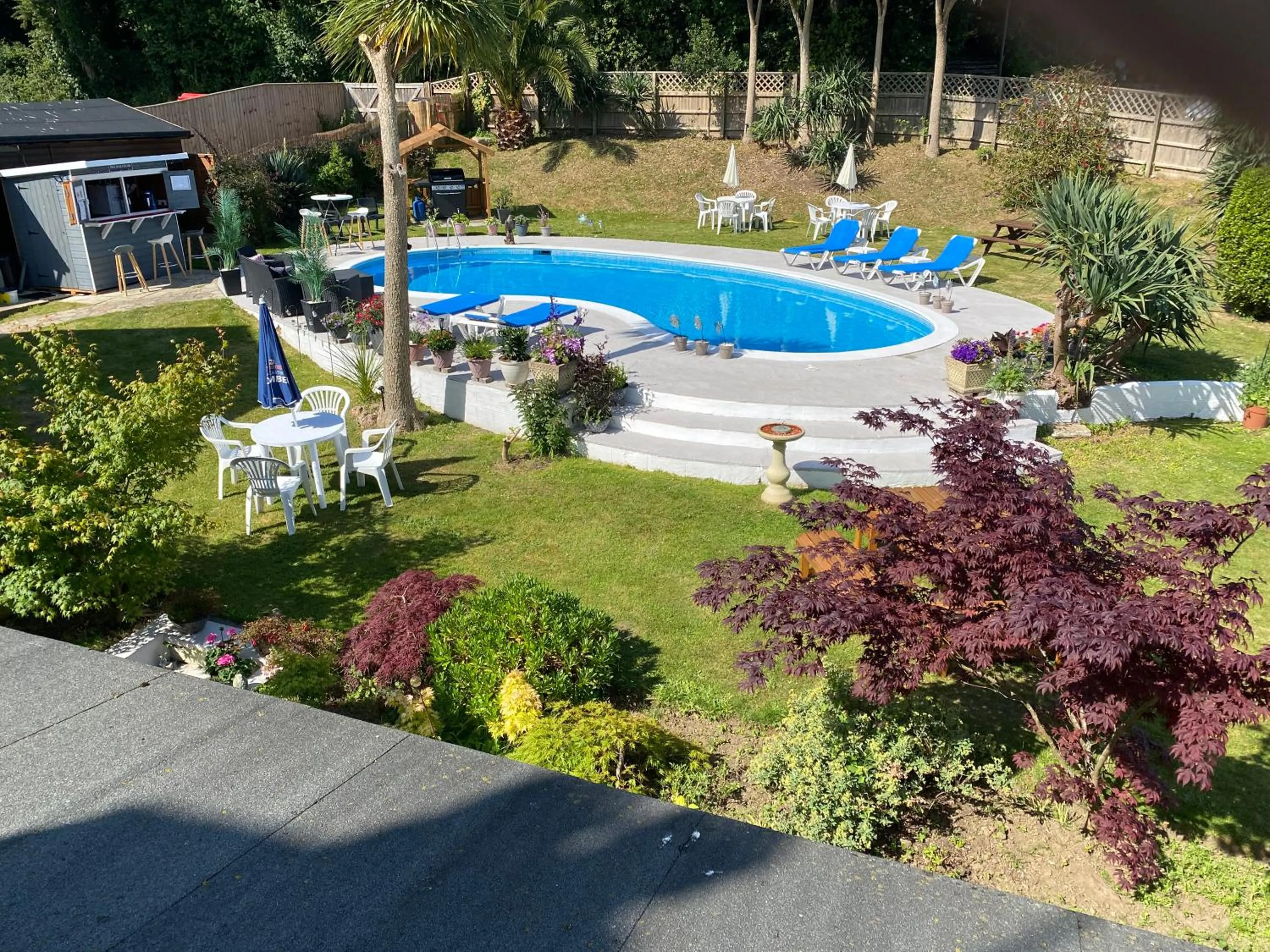 Garden in The Belmont