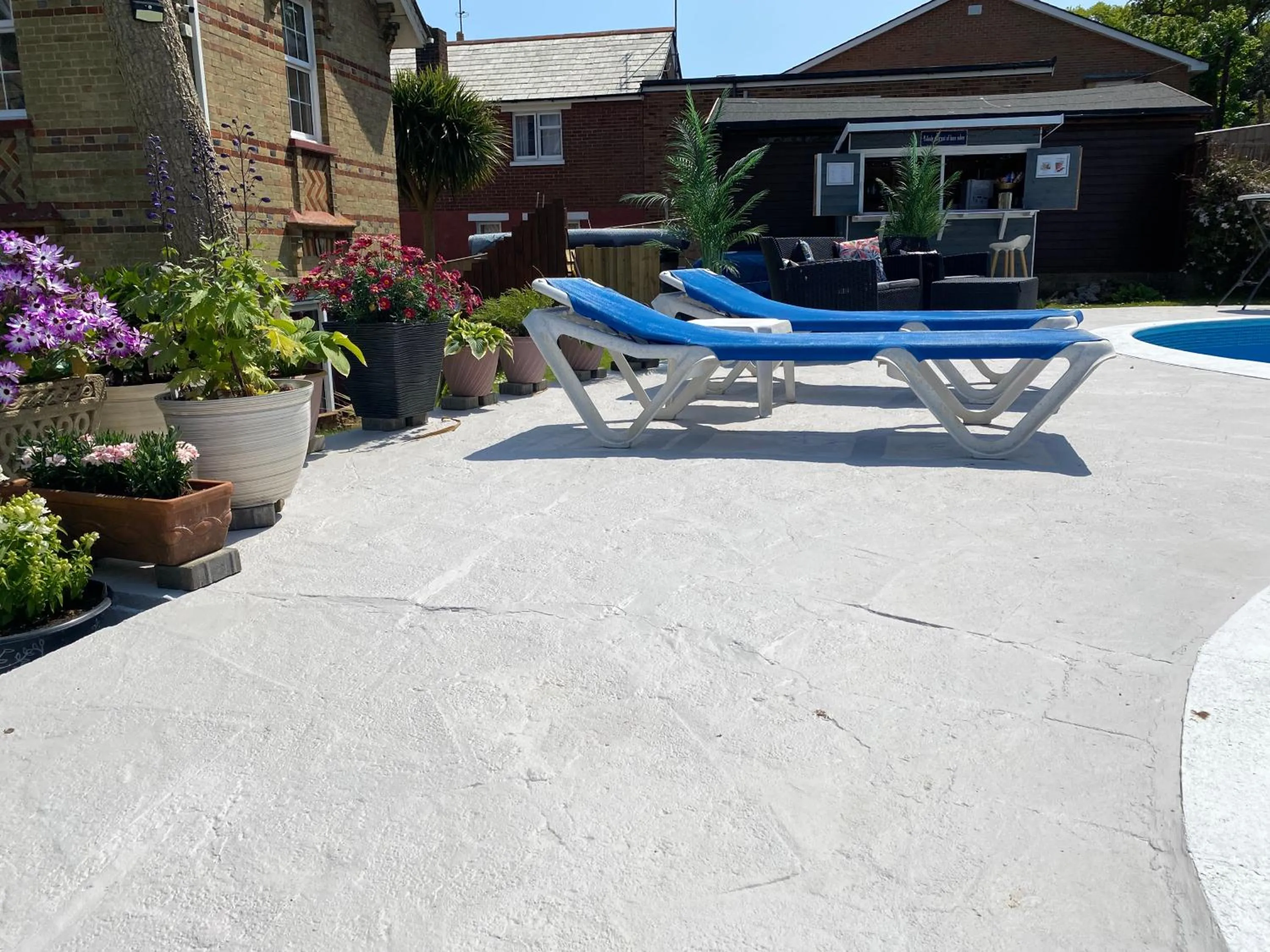 Lounge or bar in The Belmont