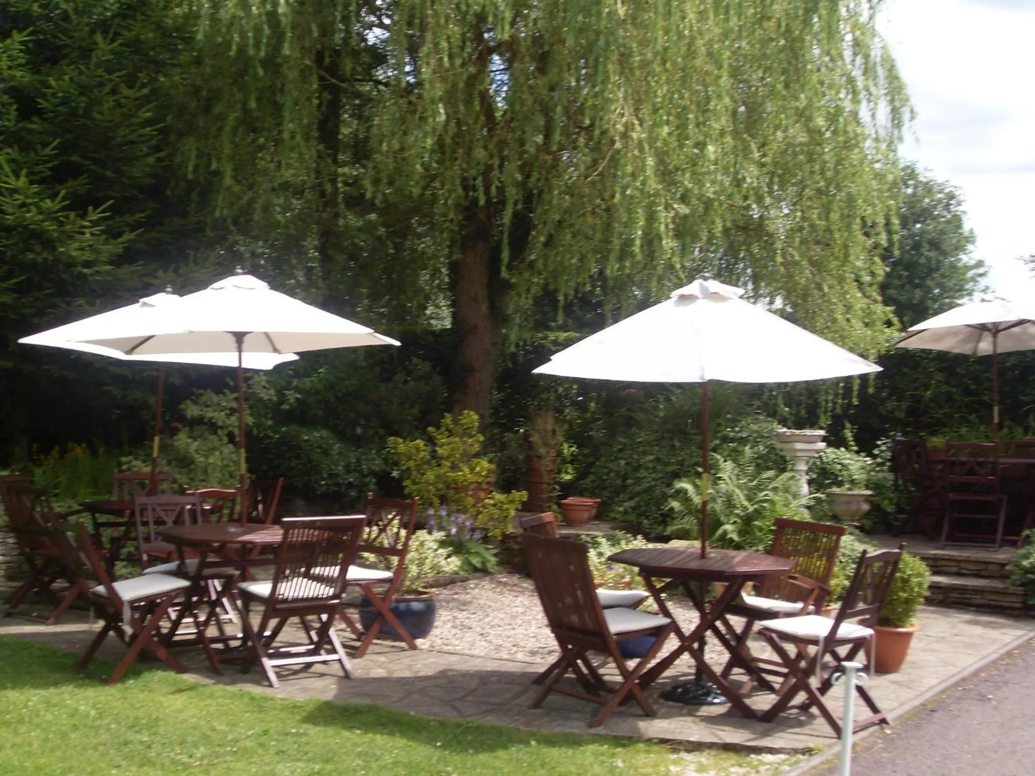 Garden in Haigs Hotel