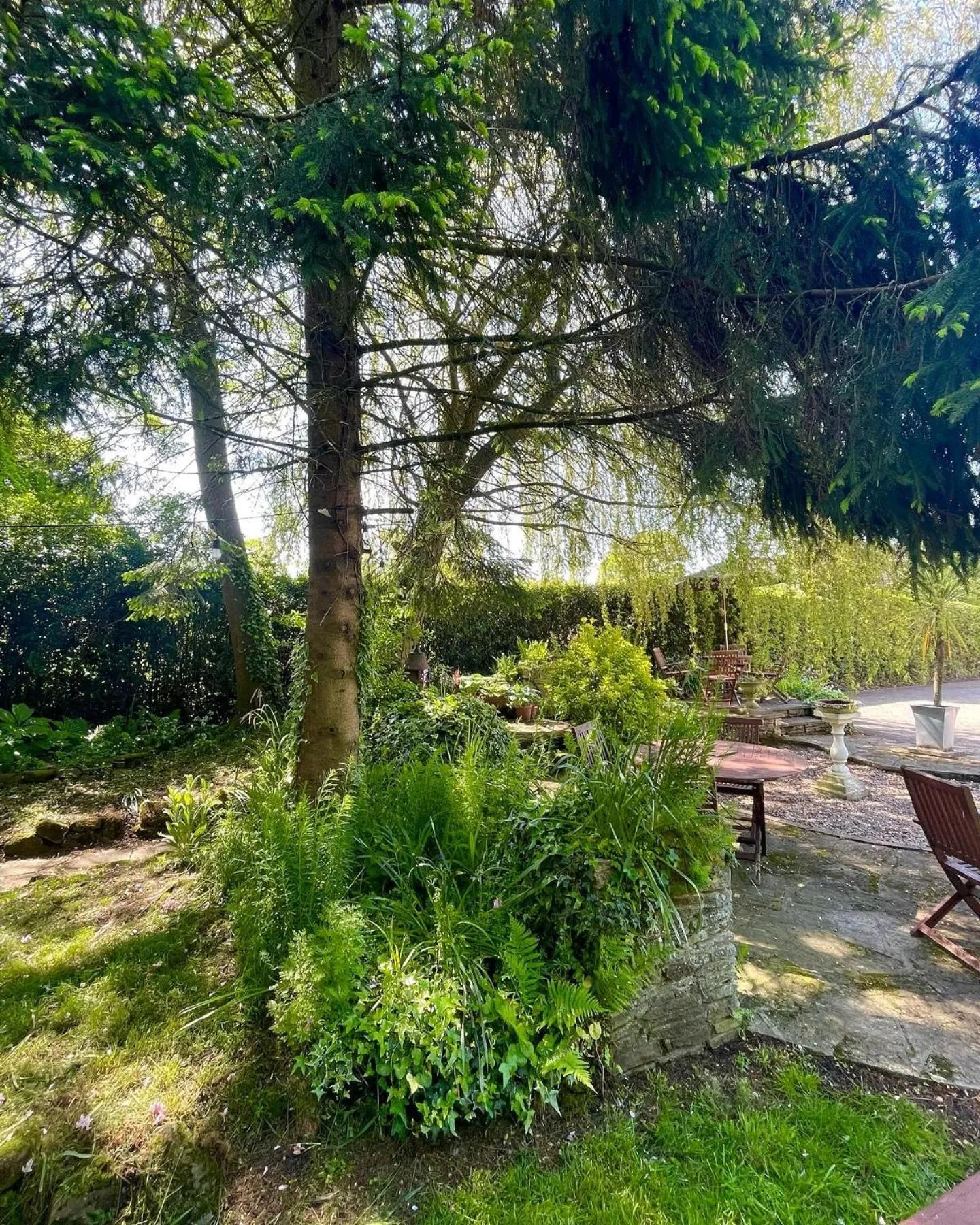 Garden in Haigs Hotel