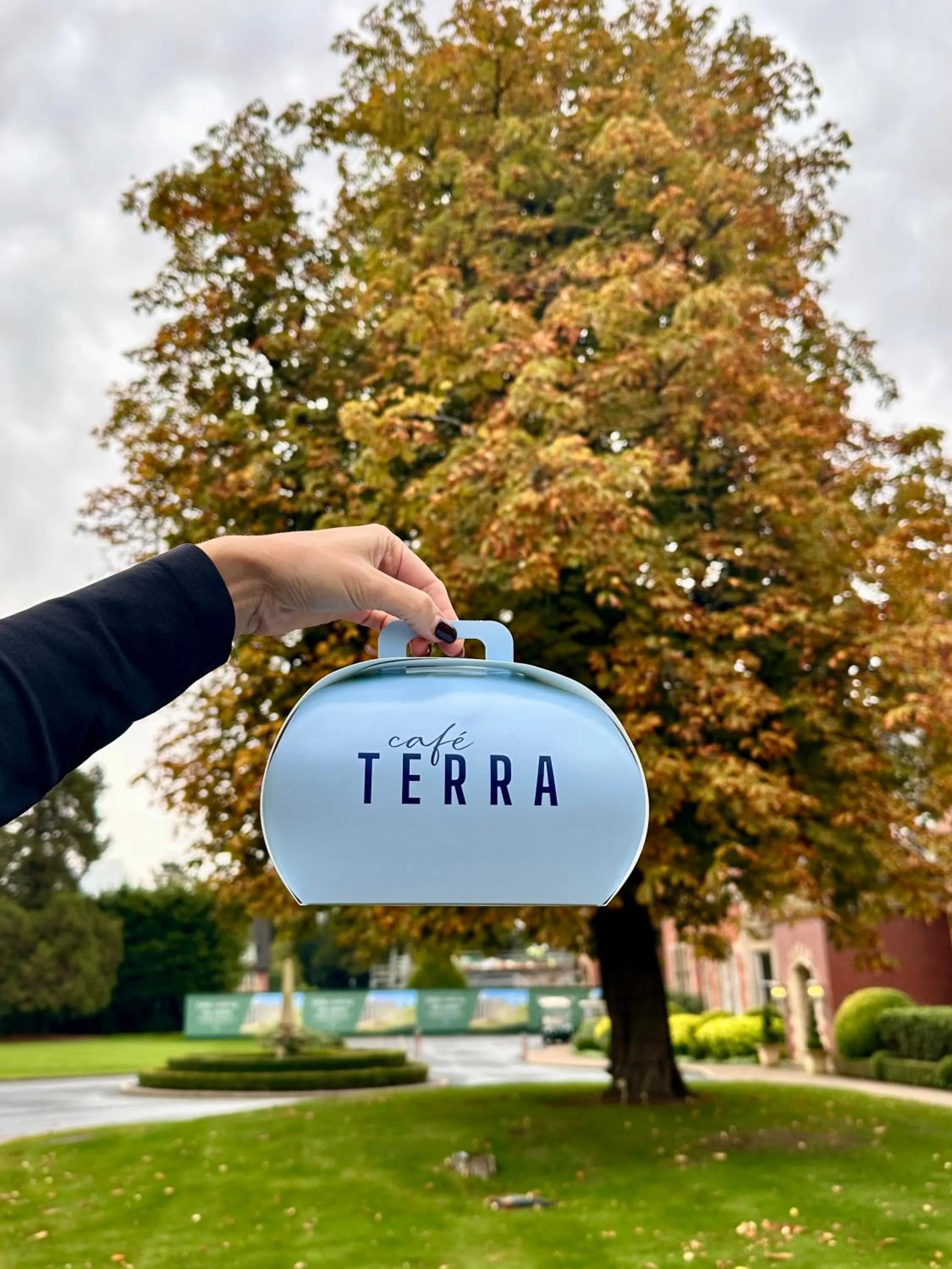 Restaurant/places to eat in Rockliffe Hall Hotel Golf & Spa