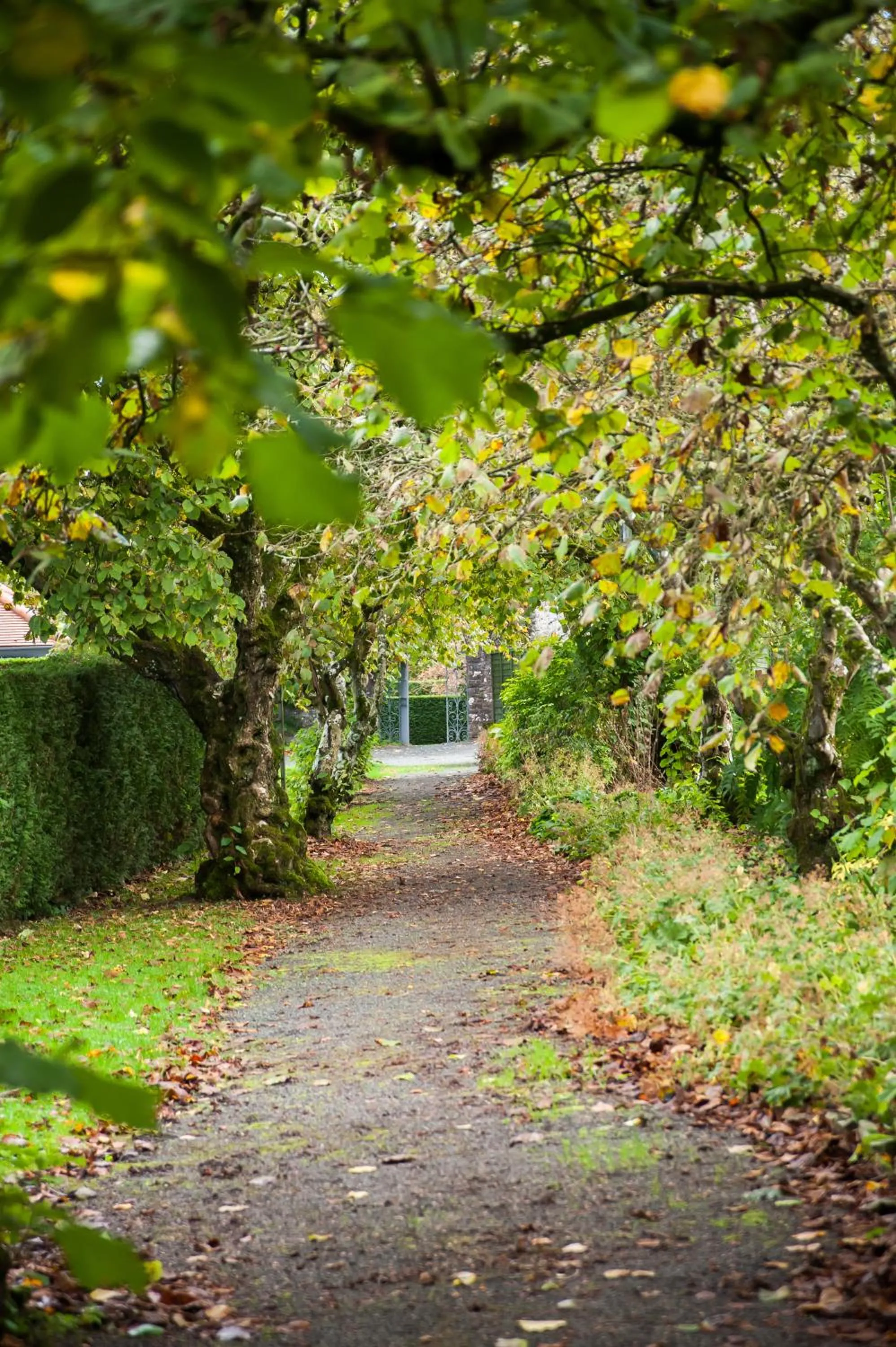 Area and facilities in Llangoed Hall