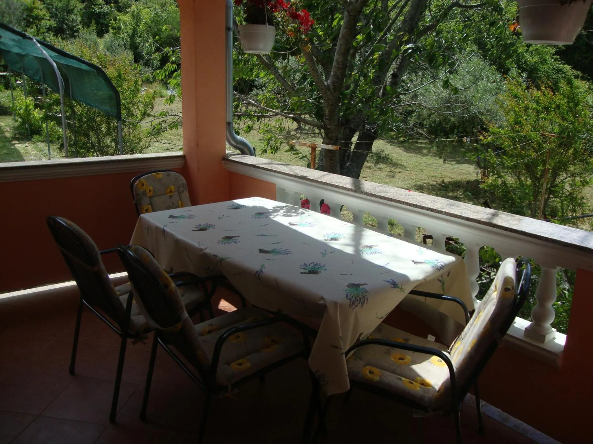 Balcony/Terrace in Apartments Hajo