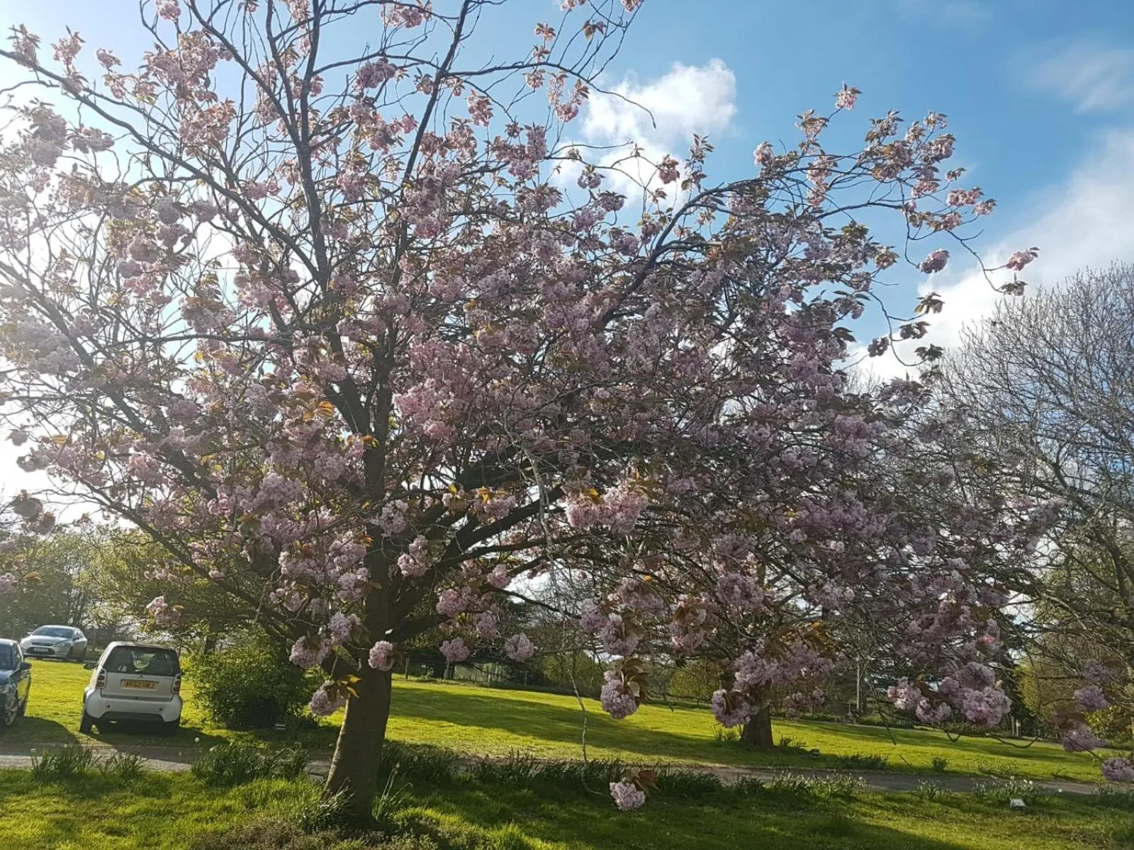 The Judds Folly Hotel, Sure Hotel Collection by Best Western