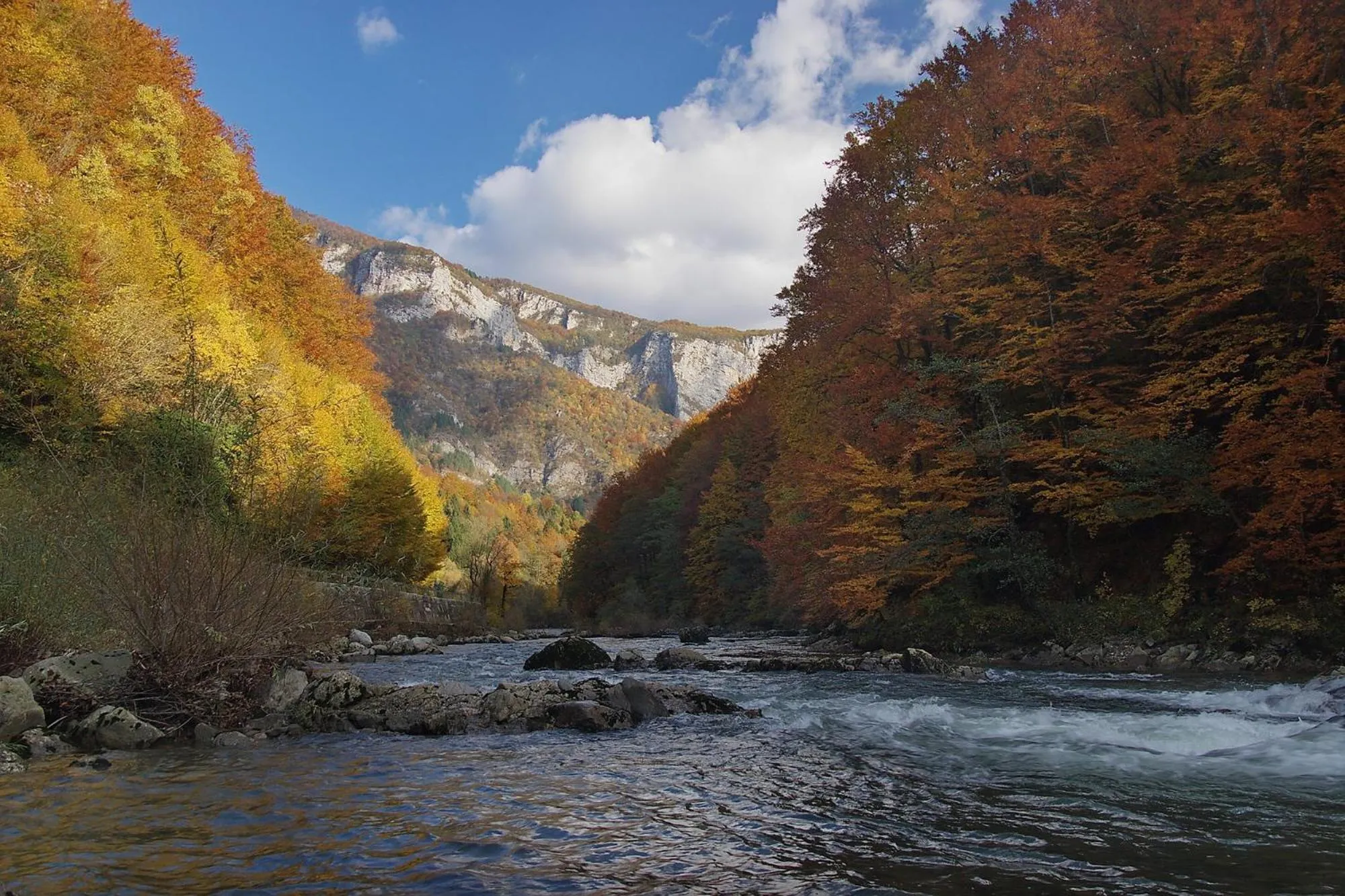 Natural landscape in Hotel Kovac