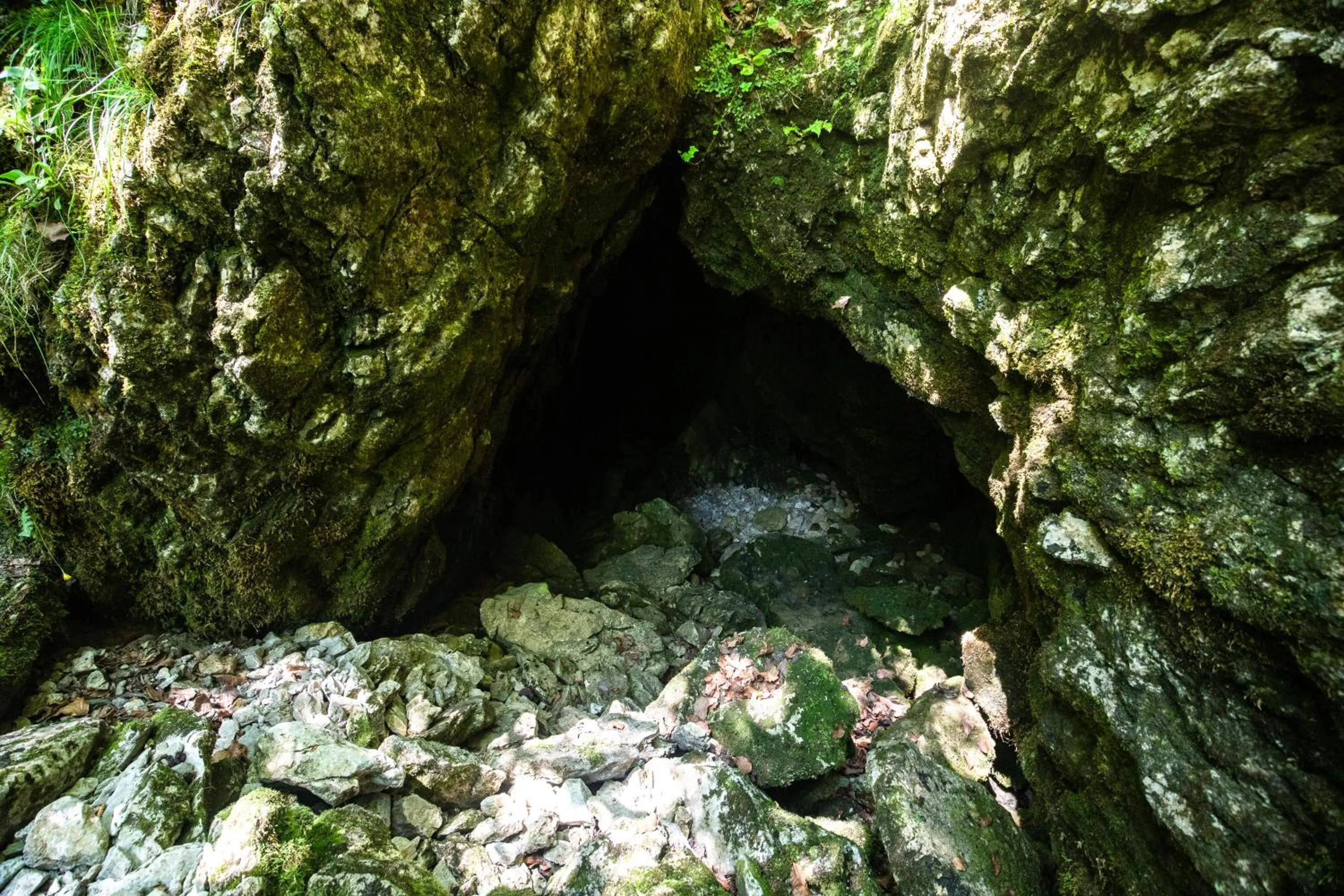 Natural landscape in Hotel Kovac