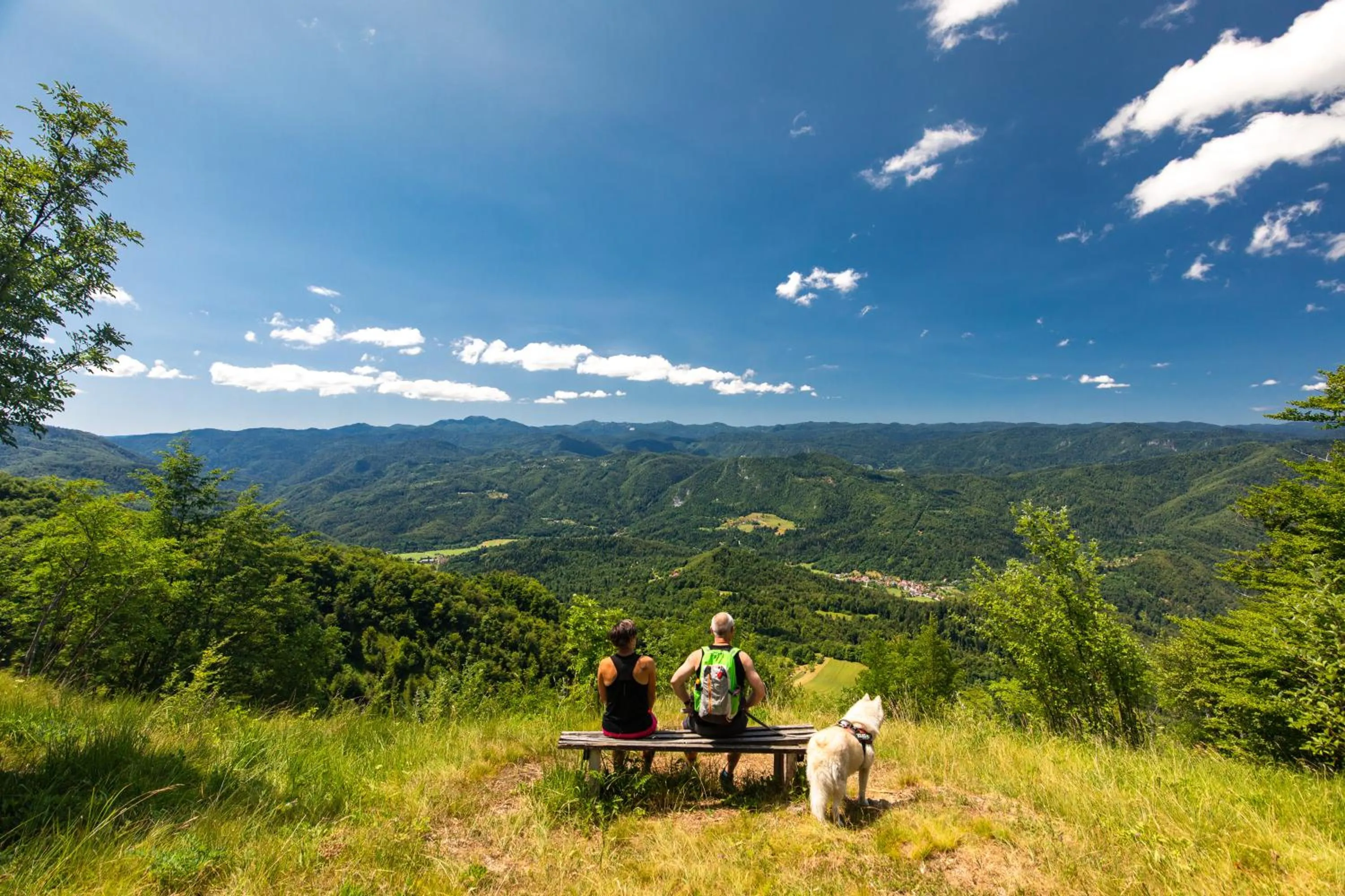 Natural landscape in Hotel Kovac
