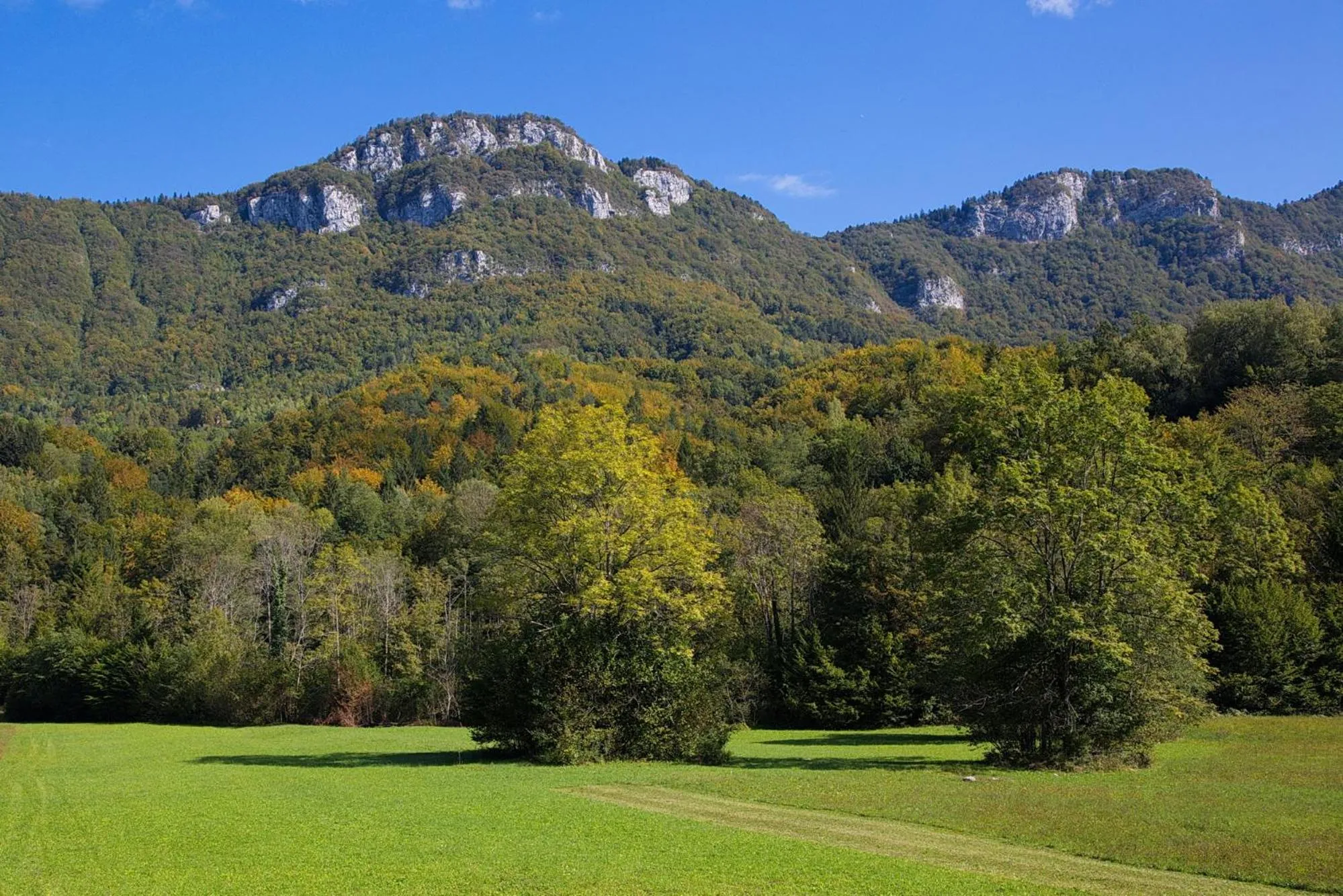 Natural landscape in Hotel Kovac