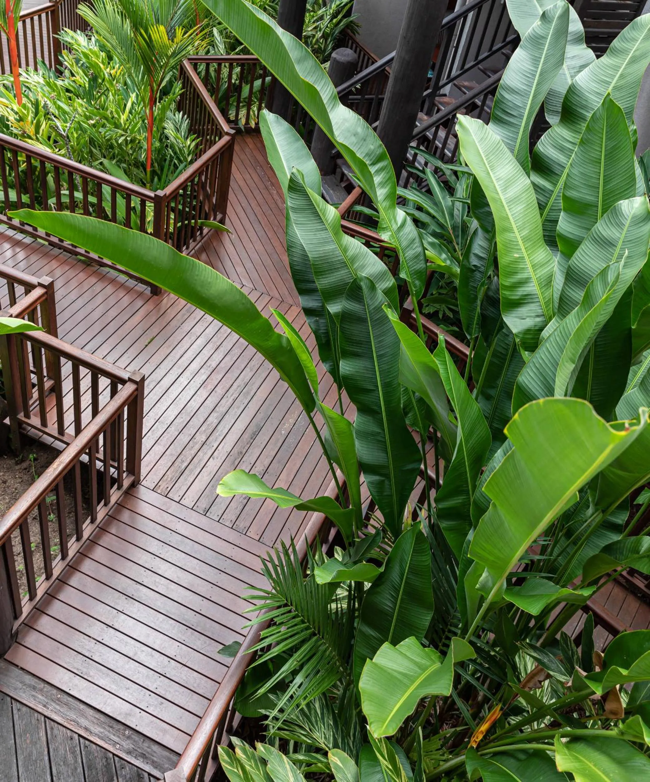 Garden in Hibiscus Resort & Spa - Official Onsite Reception & Check In