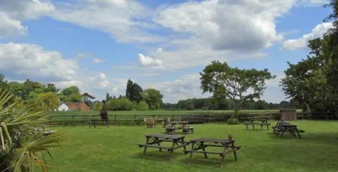 Garden in The Falcon At Hatton