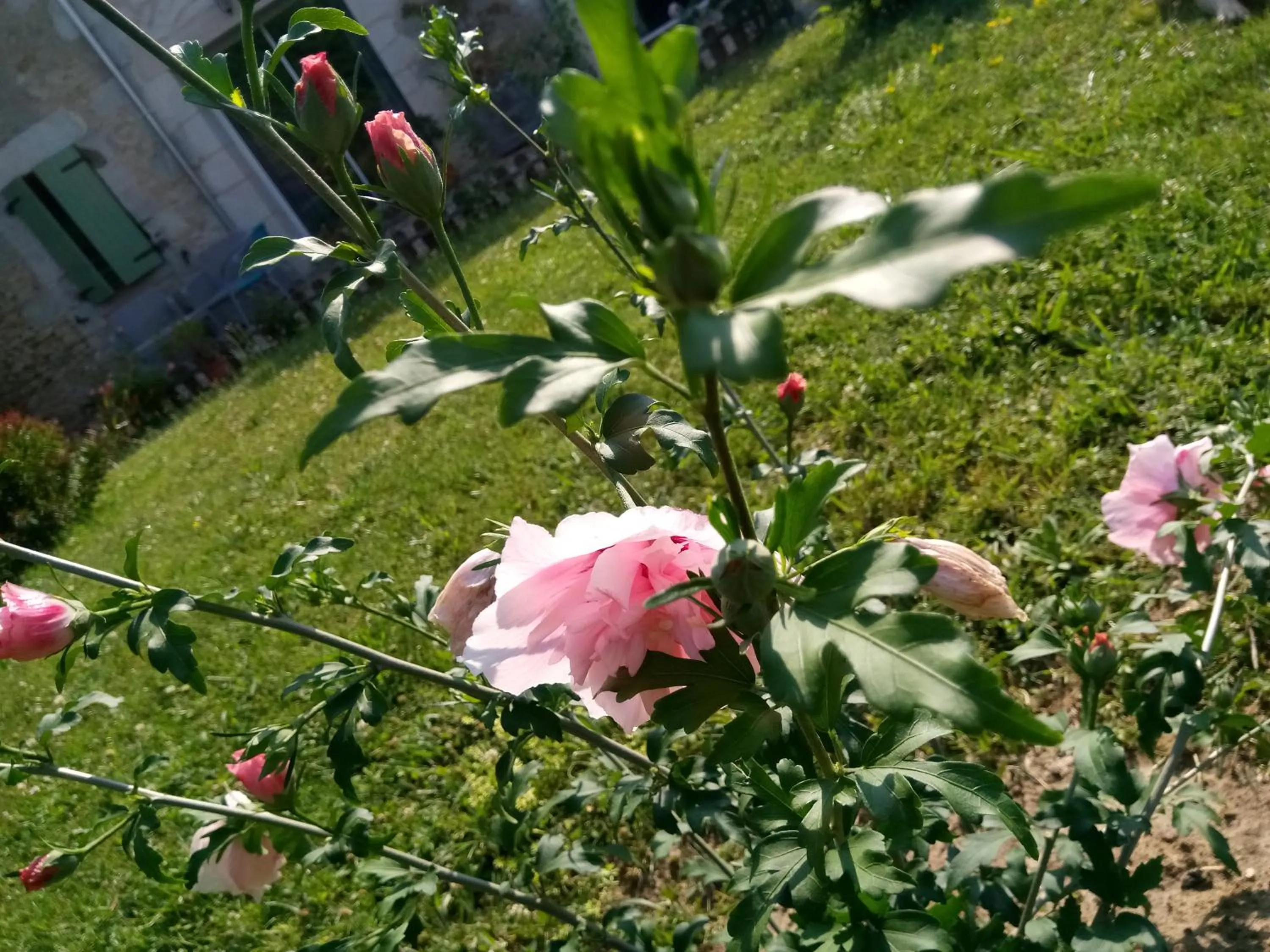 Garden view in La Mirabelle