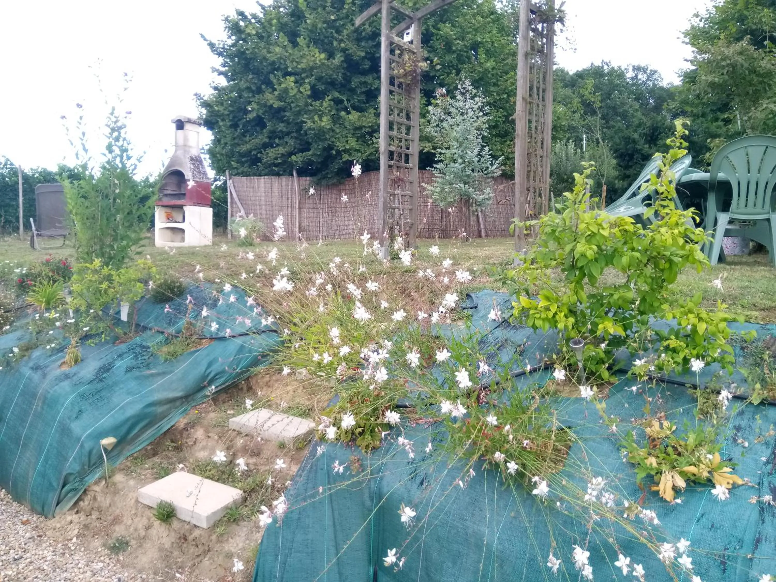 Garden view in La Mirabelle