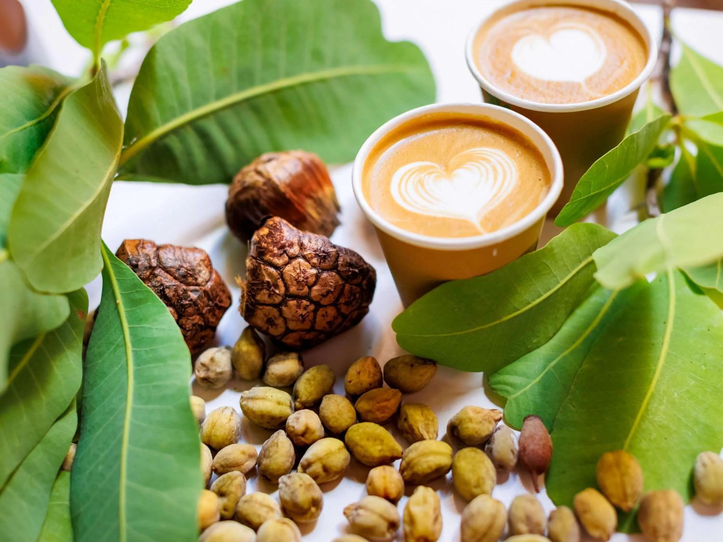 Restaurant/places to eat in Cooinda Lodge Kakadu