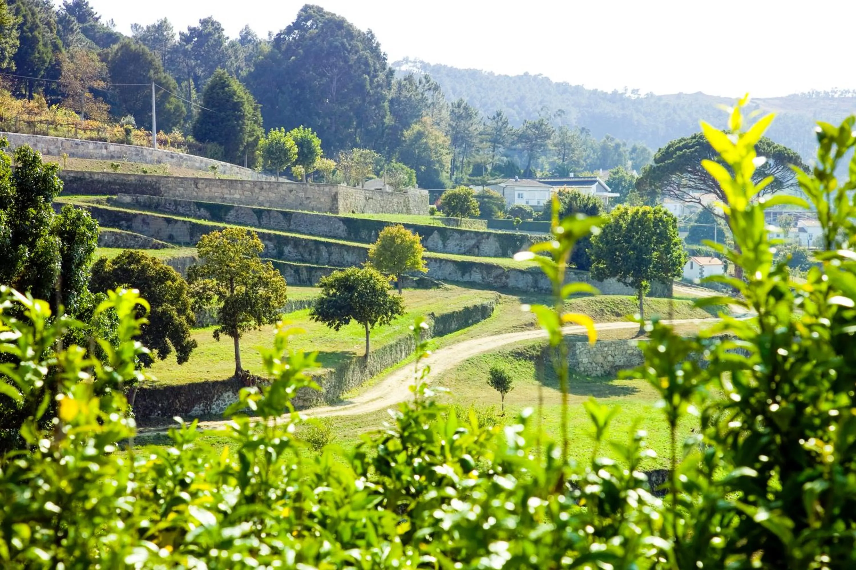 Garden in Boega Hotel