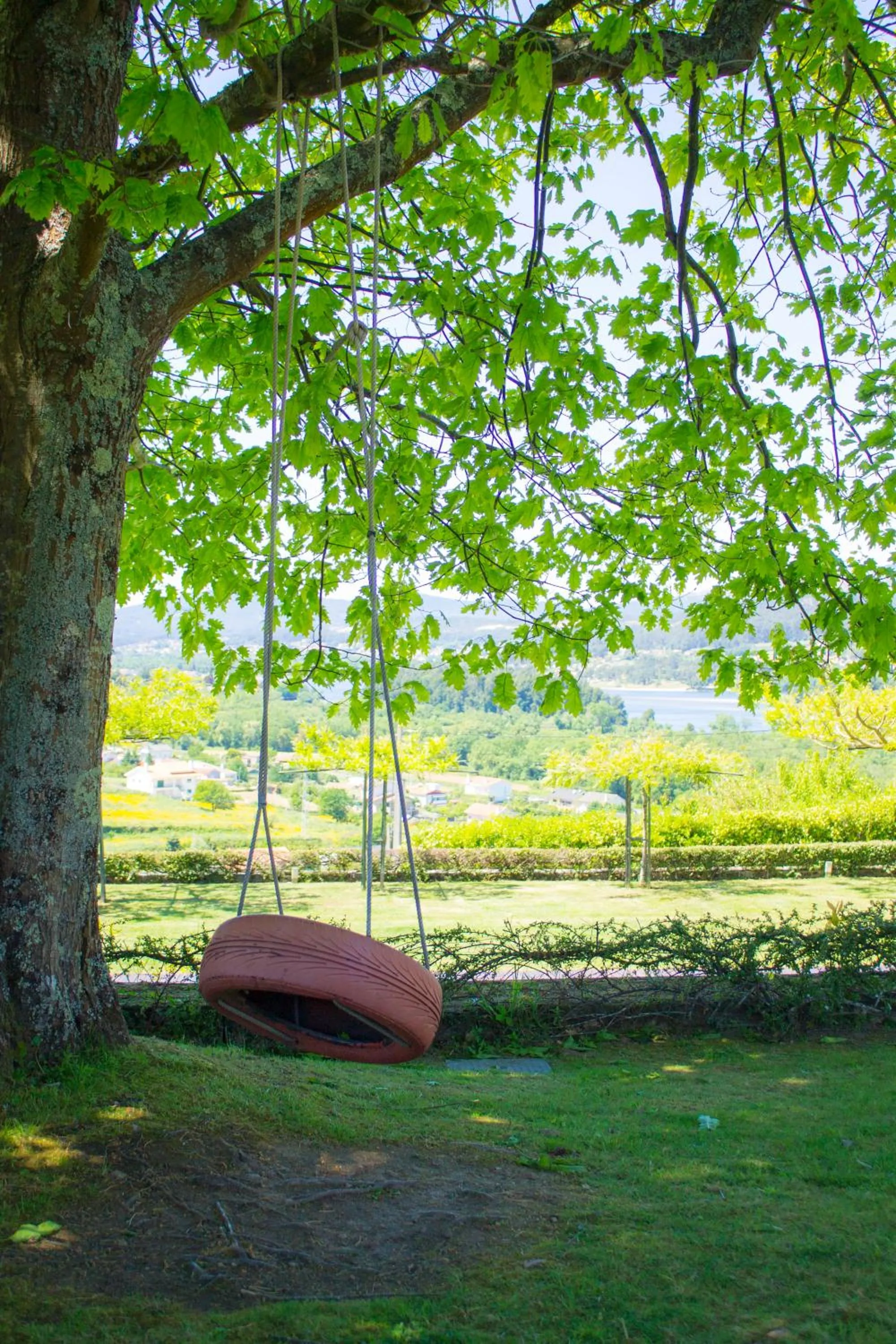 Garden in Boega Hotel