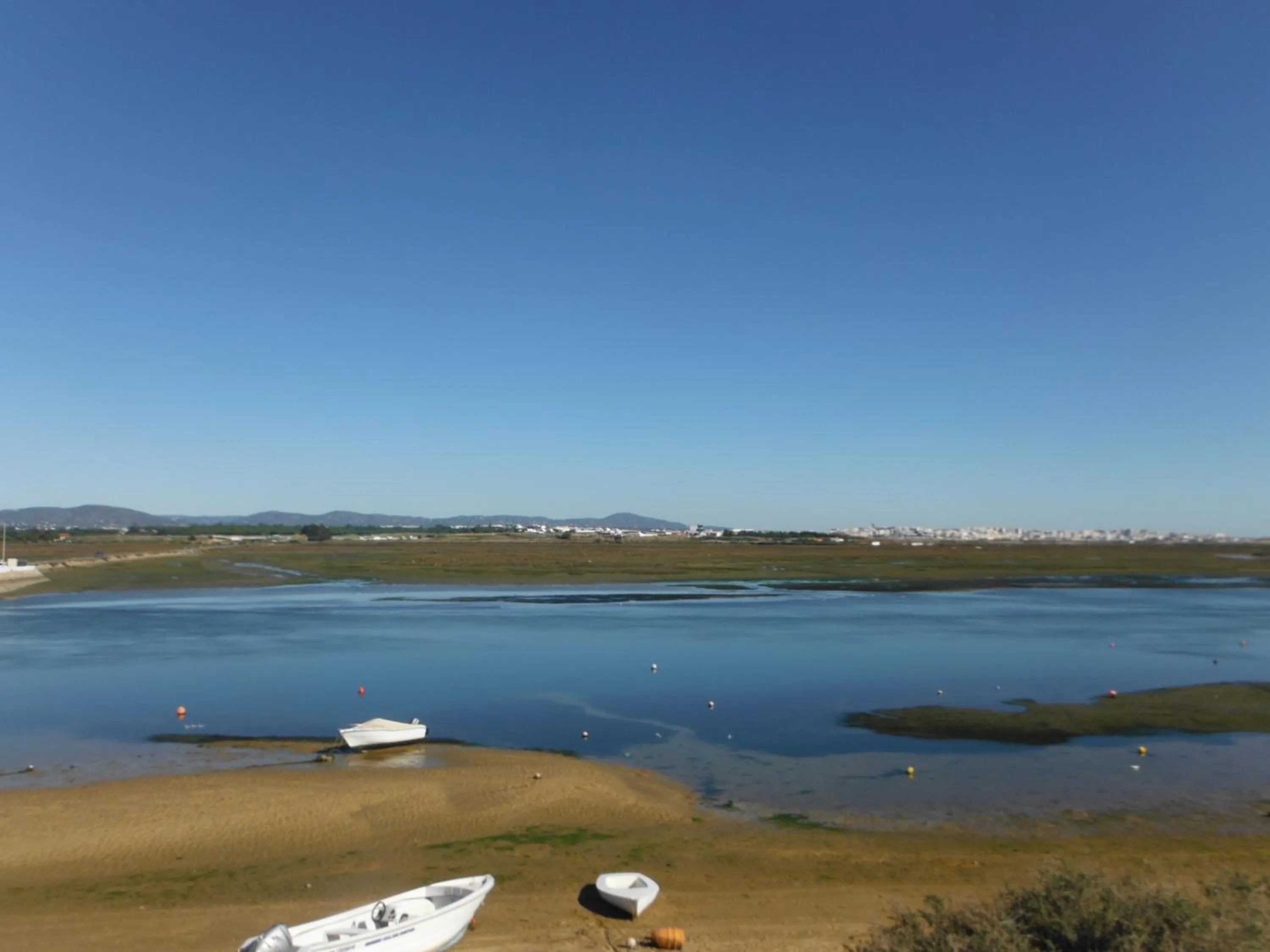 View (from property/room) in Aeromar Beach Hotel