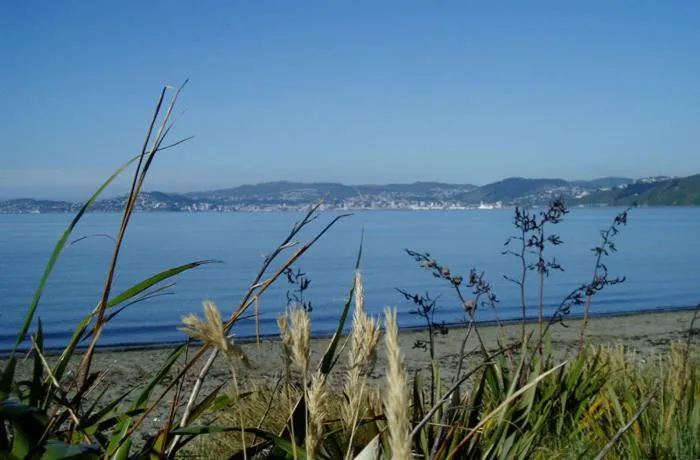 Natural landscape in 83 By The Sea Motor Lodge