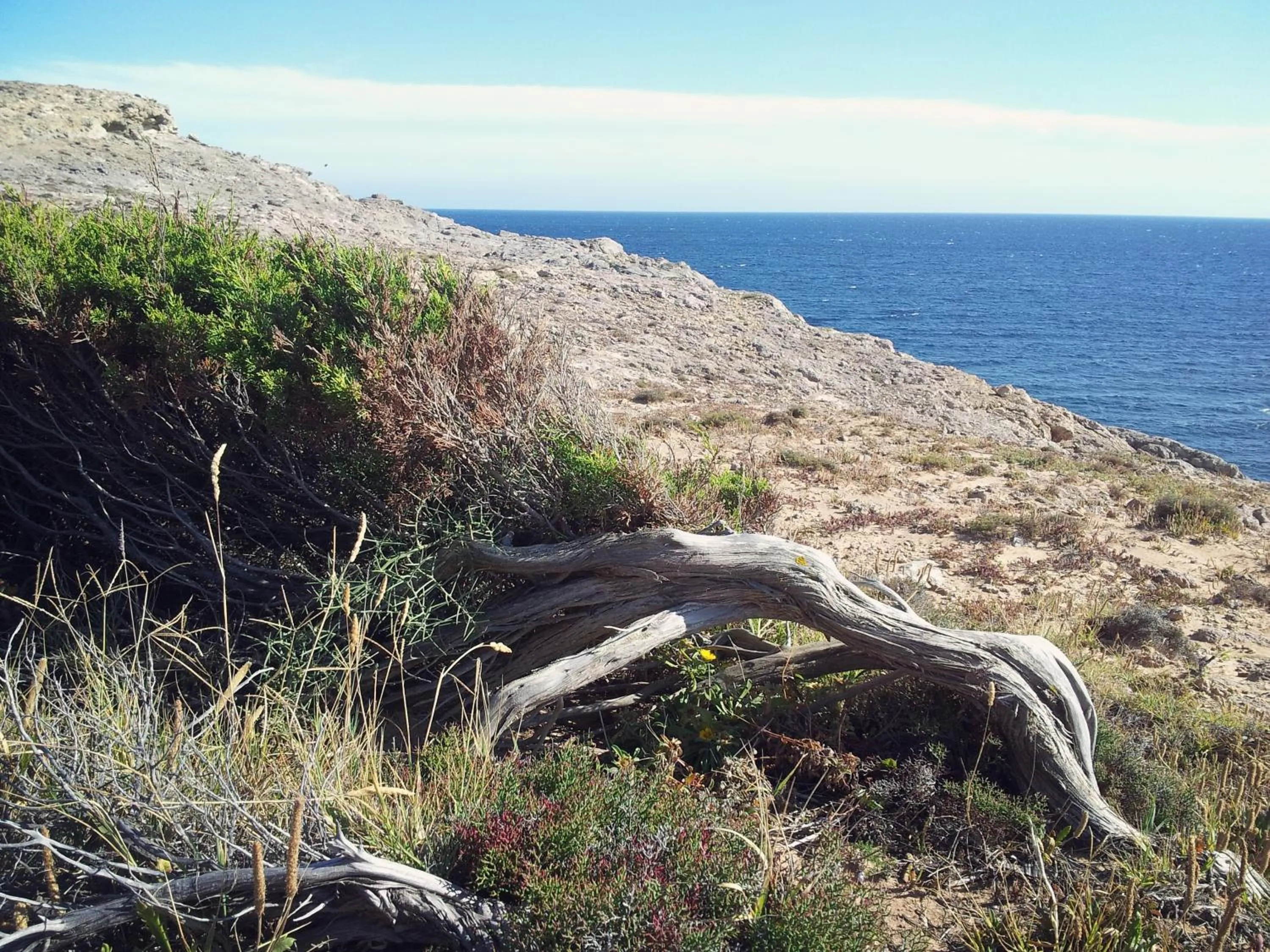 Property building in B&B Il Girasole