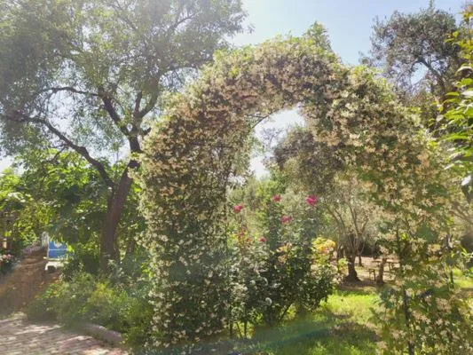 Property building in B&B Il Girasole