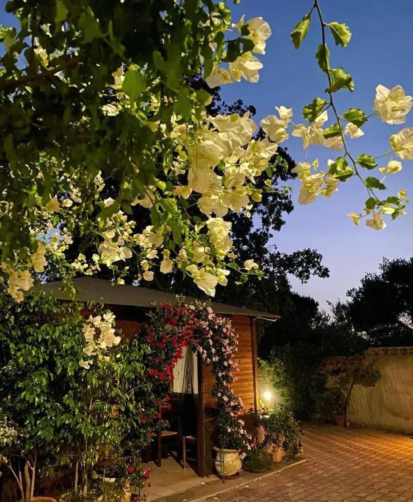 Night in B&B Il Girasole