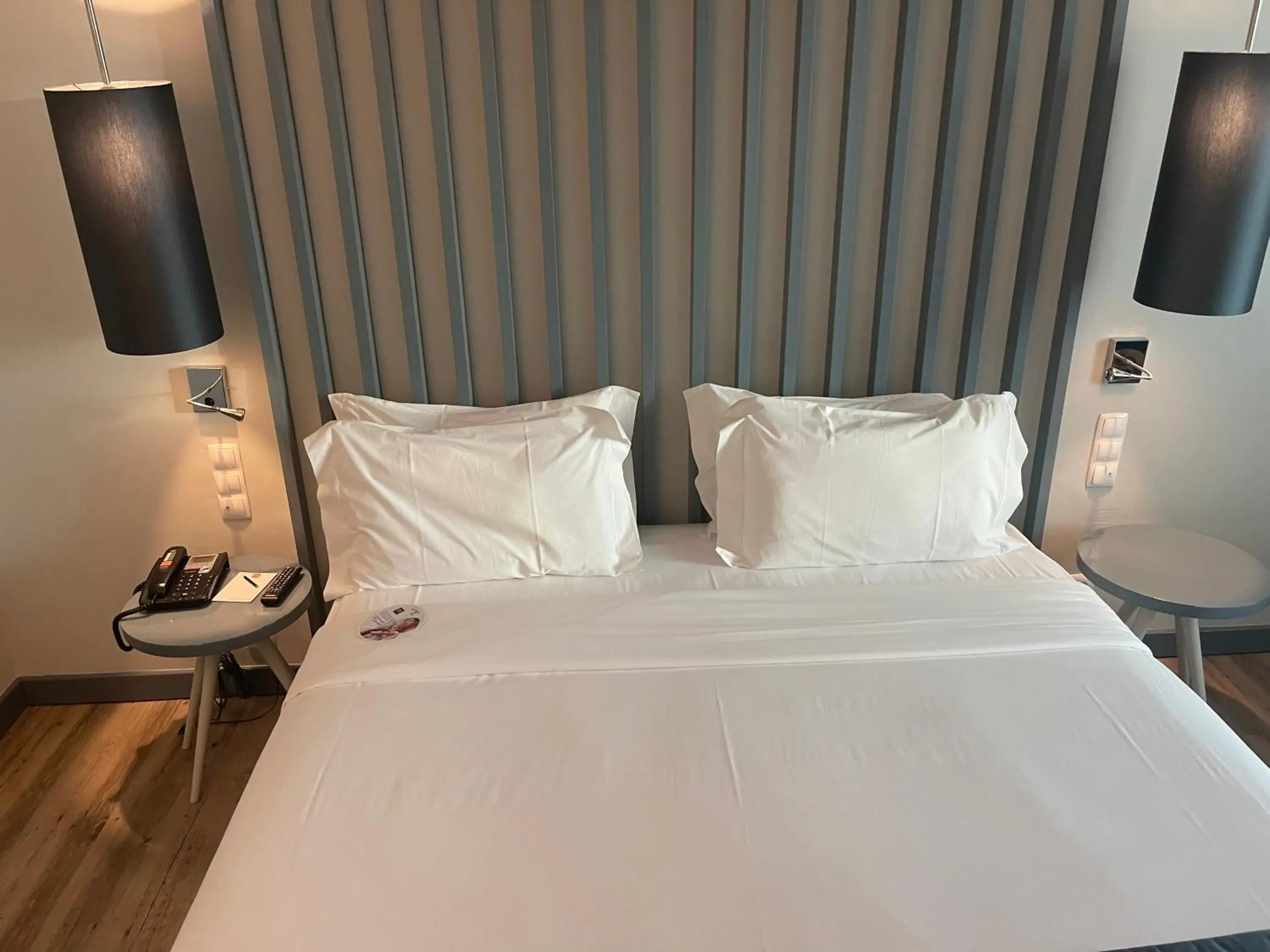 Double Room in Hotel Le Sully Double Room in Hotel Le Sully