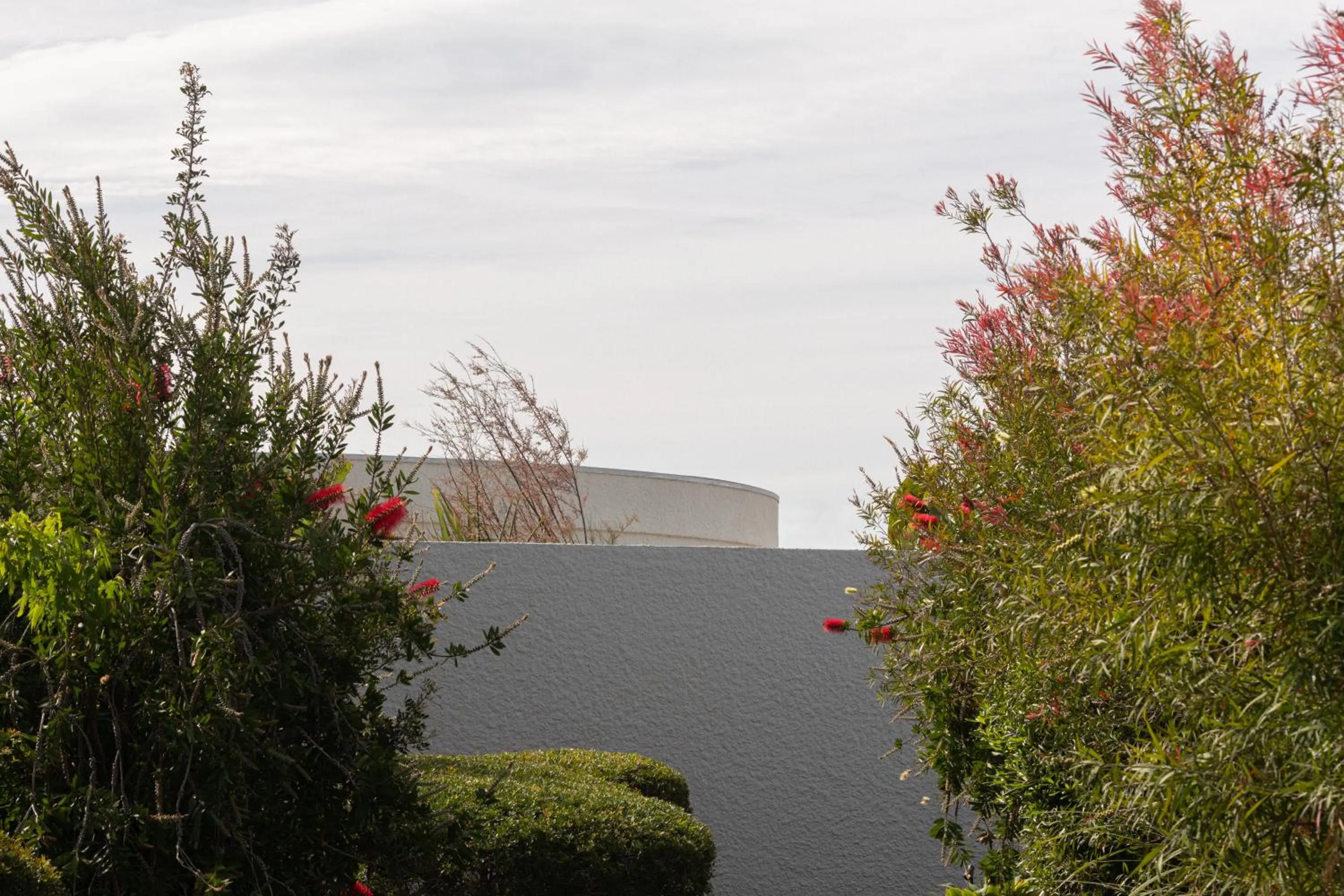 Garden in Cap d'Antibes Beach Hotel
