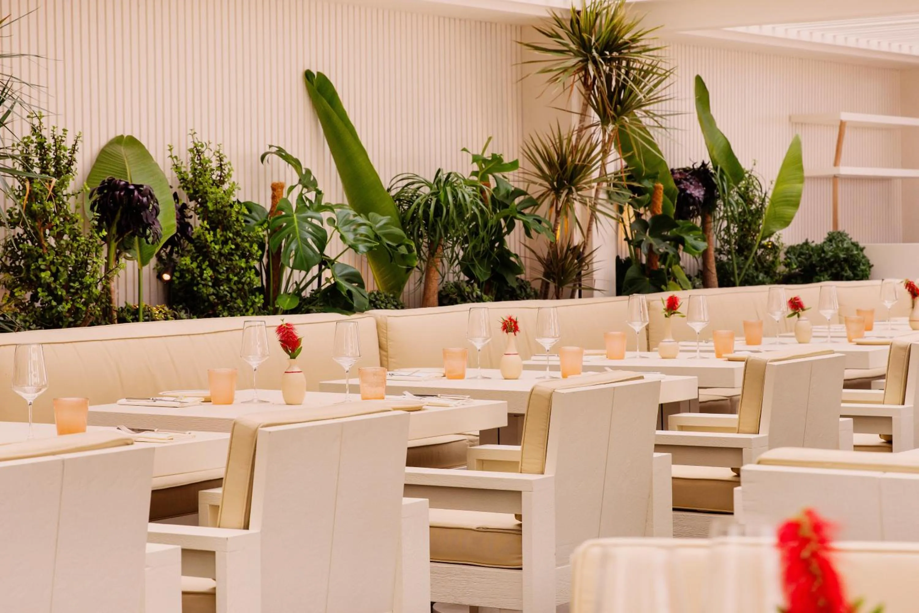 Restaurant/places to eat in Cap d'Antibes Beach Hotel