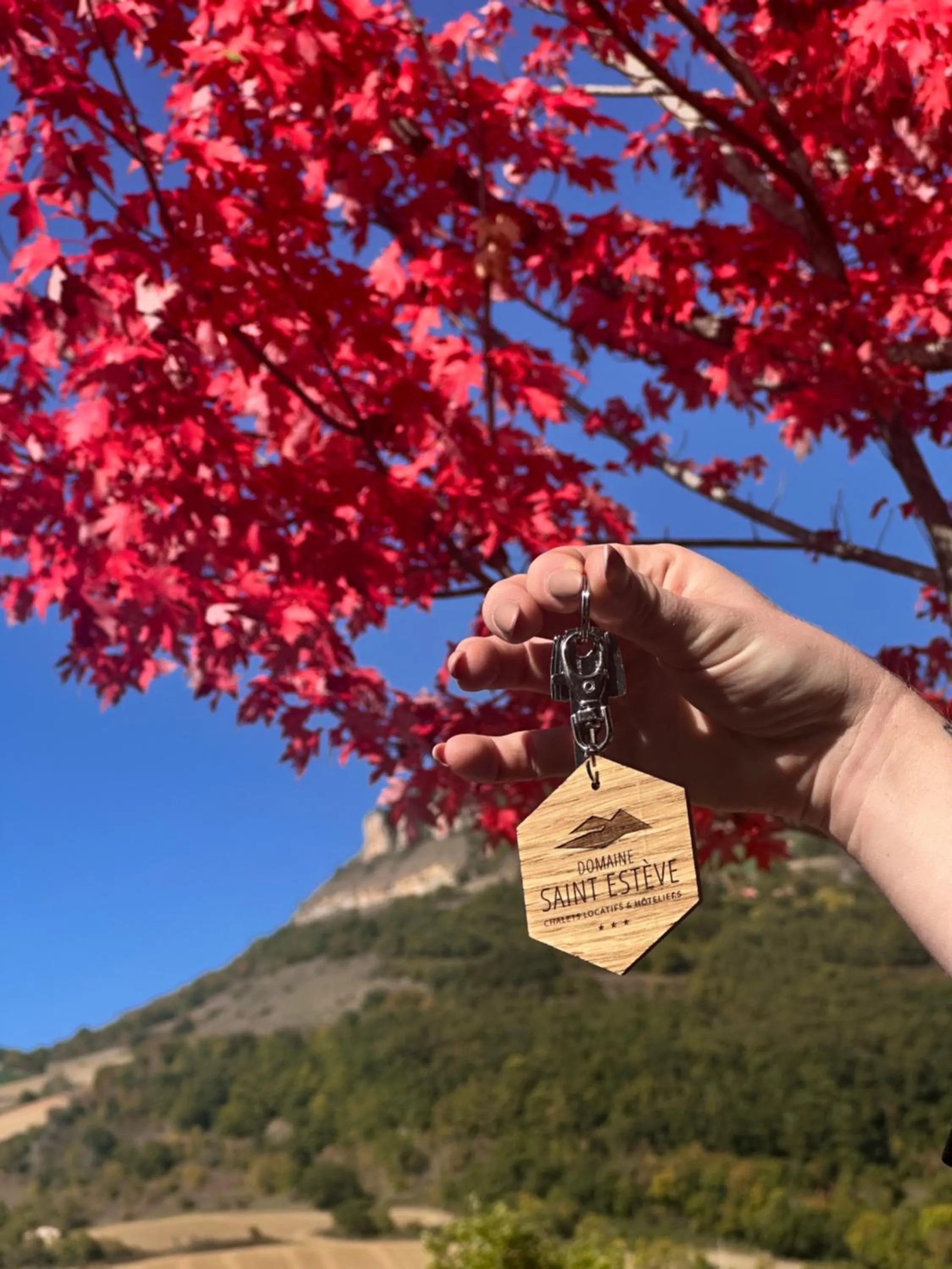 Day in Domaine Saint Estève