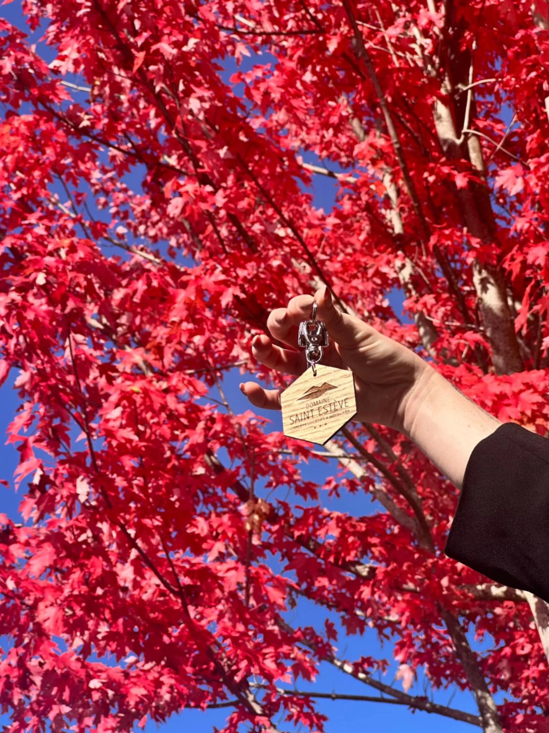 Property building in Domaine Saint Estève