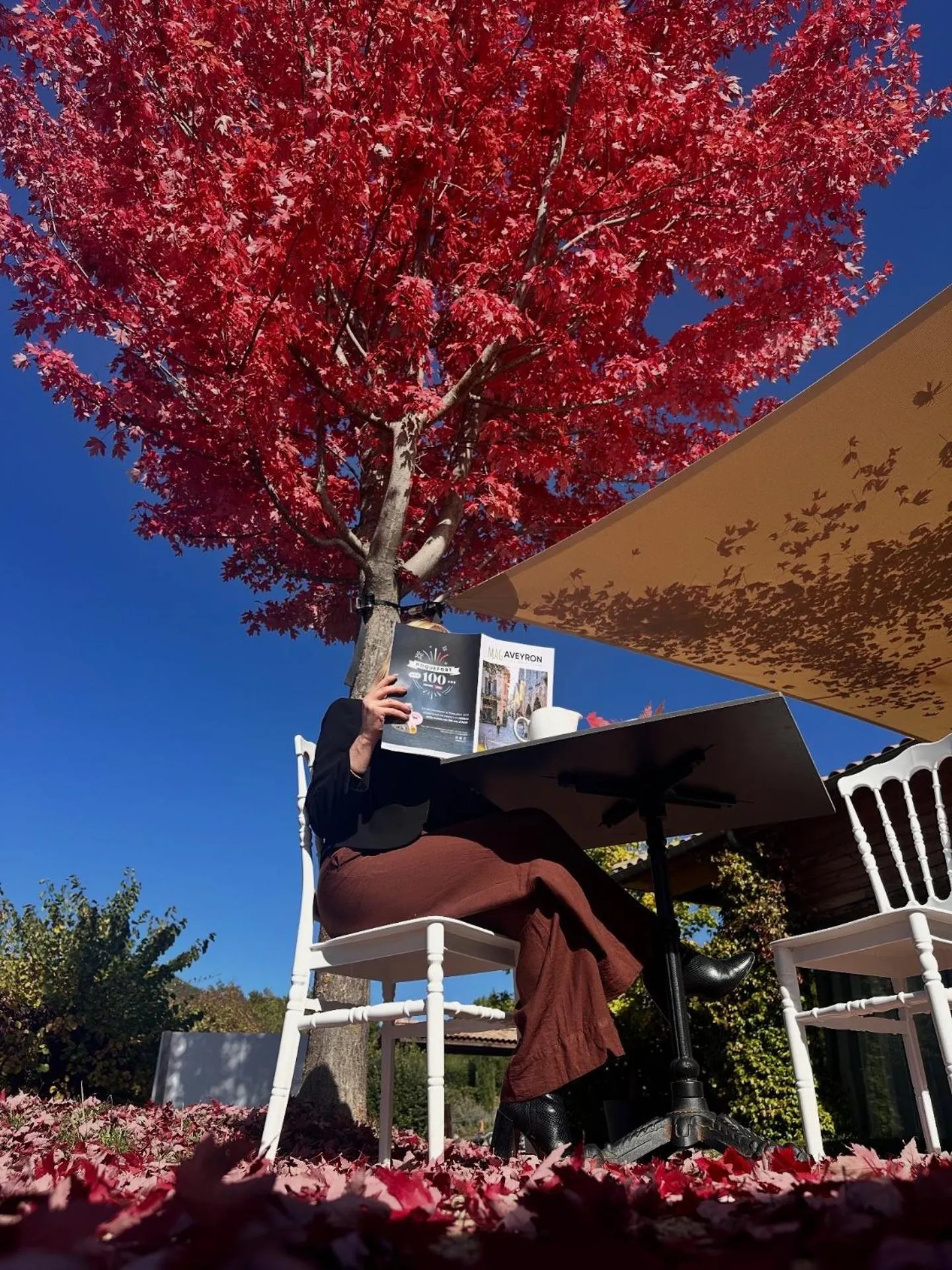 Day in Domaine Saint Estève