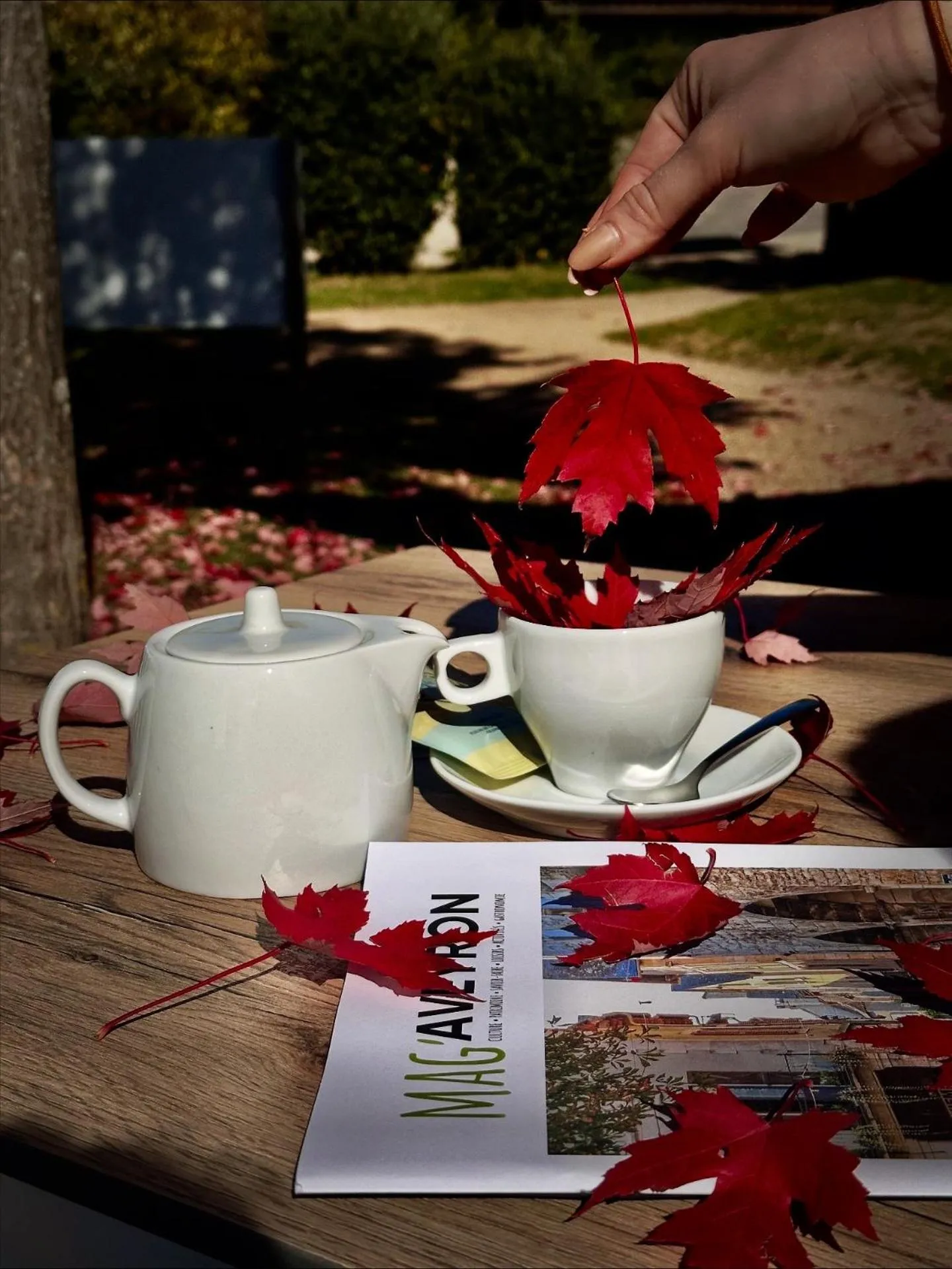 Property building in Domaine Saint Estève